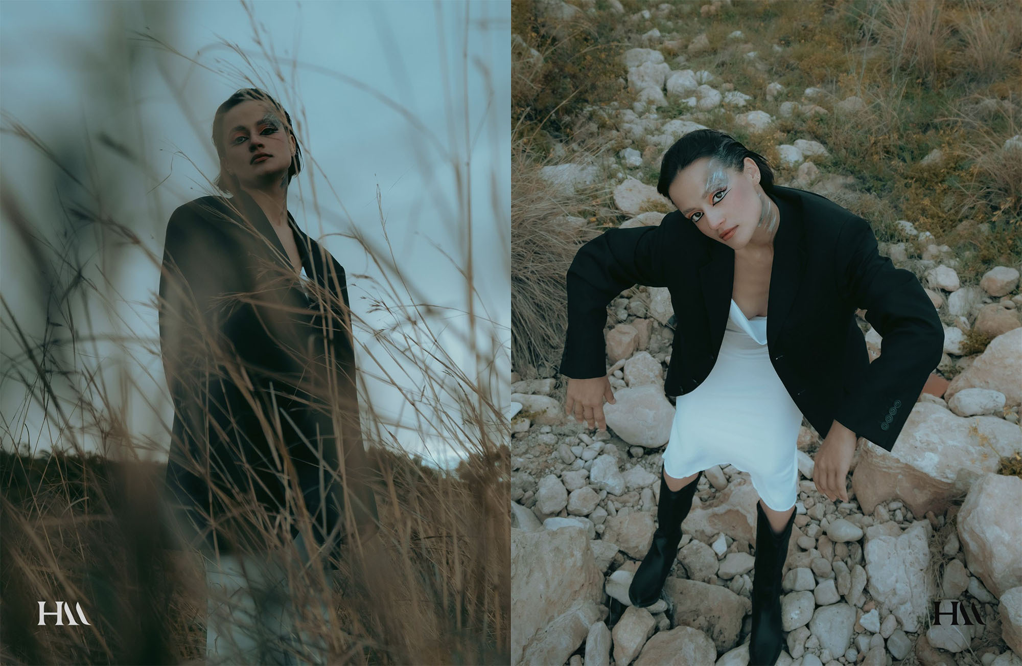 The best publications of the project Dusk in Silence