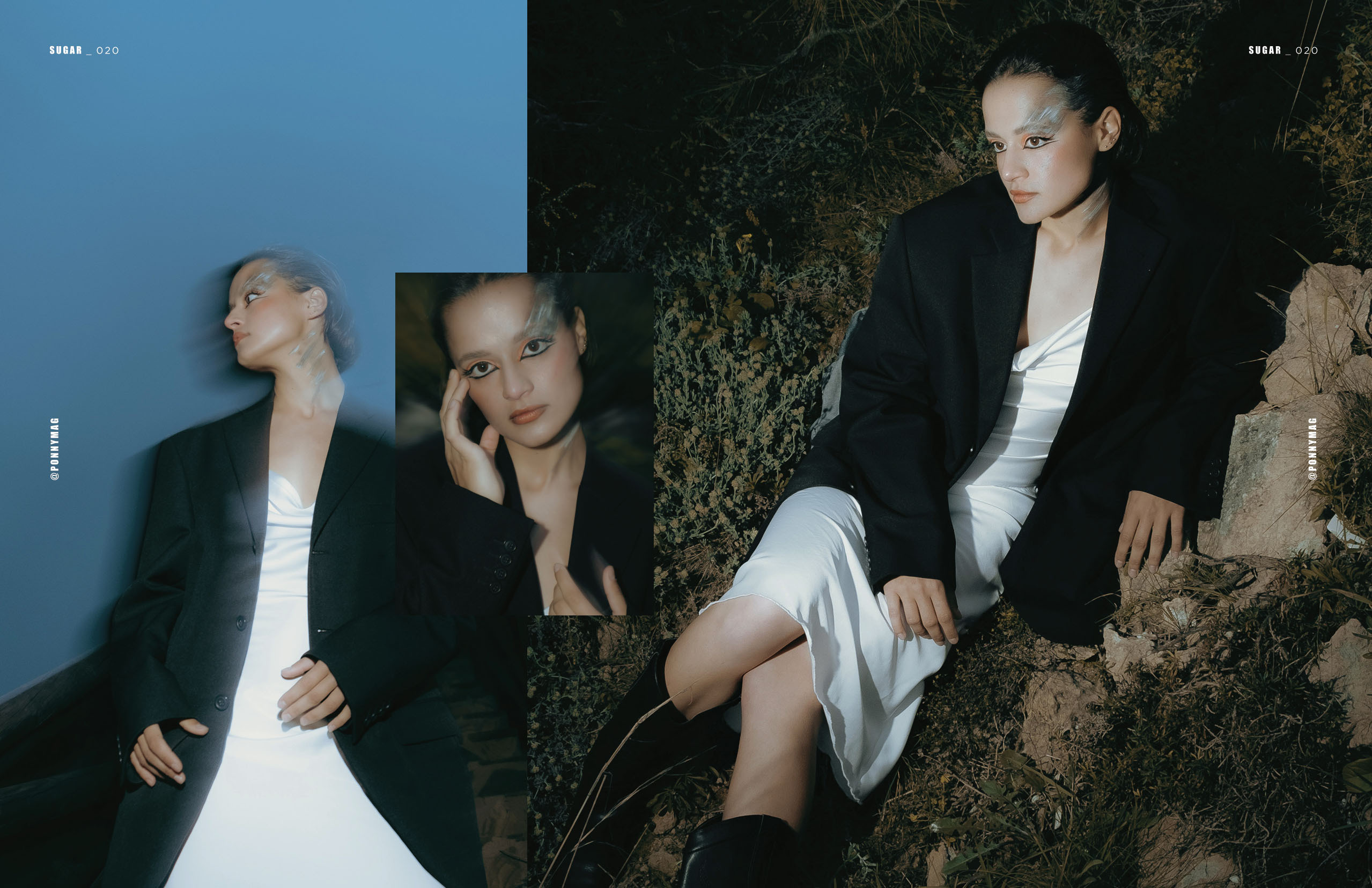 The best publications of the project Dusk in Silence