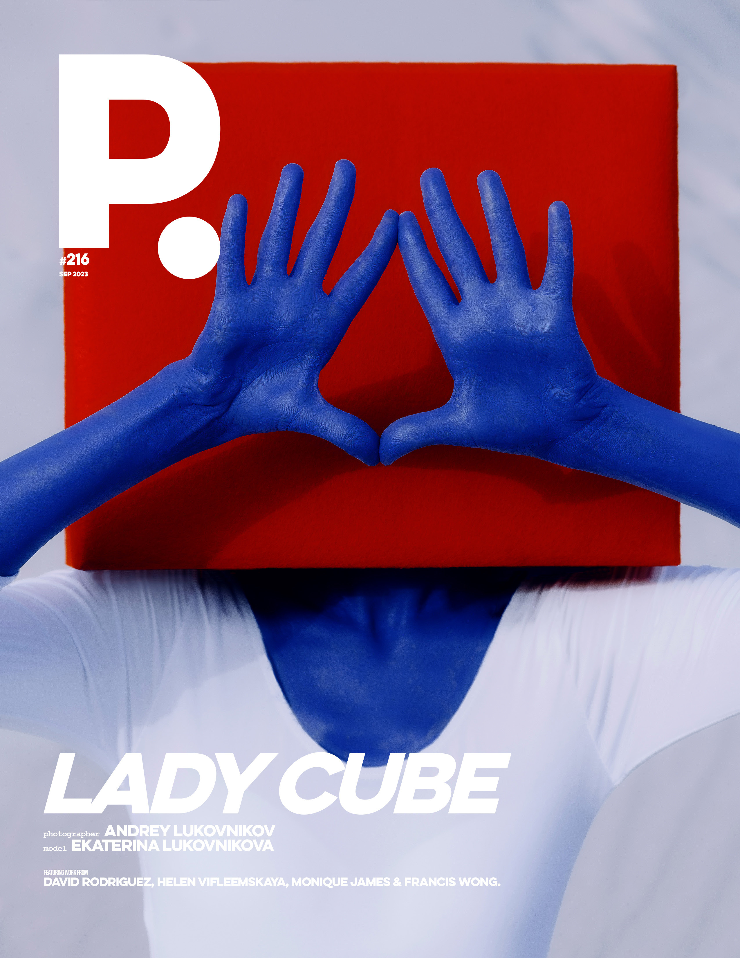 The best publications of the Project Cube