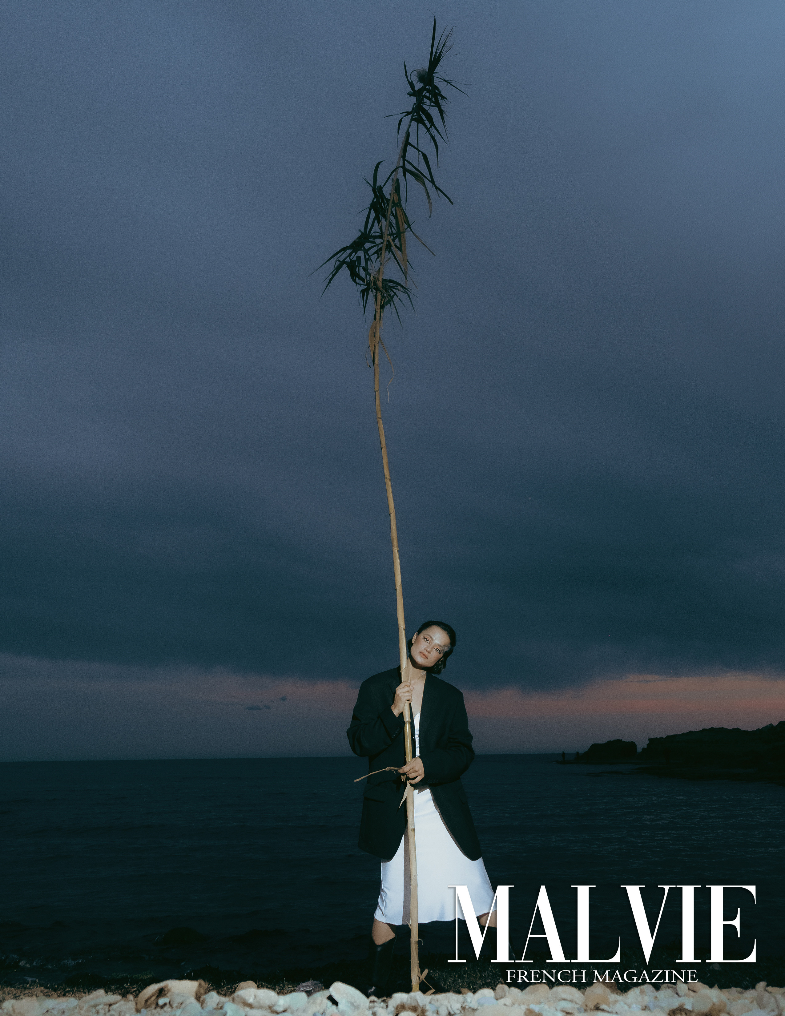 The best publications of the project Dusk in Silence