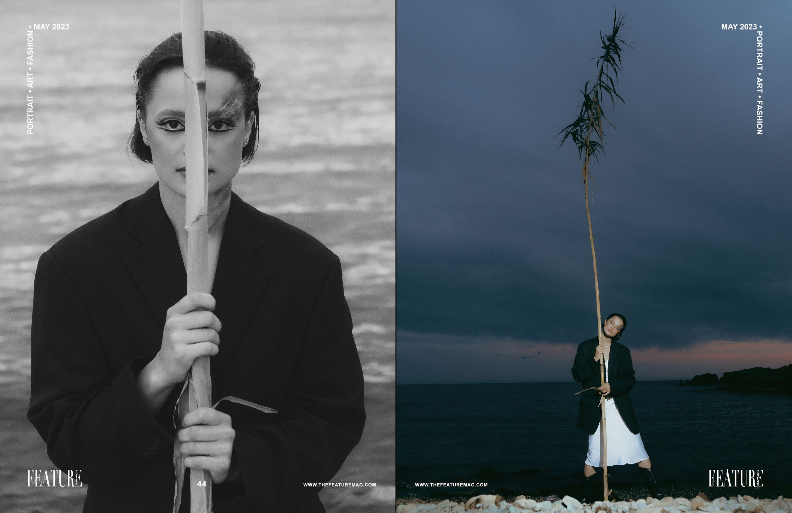 The best publications of the project Dusk in Silence