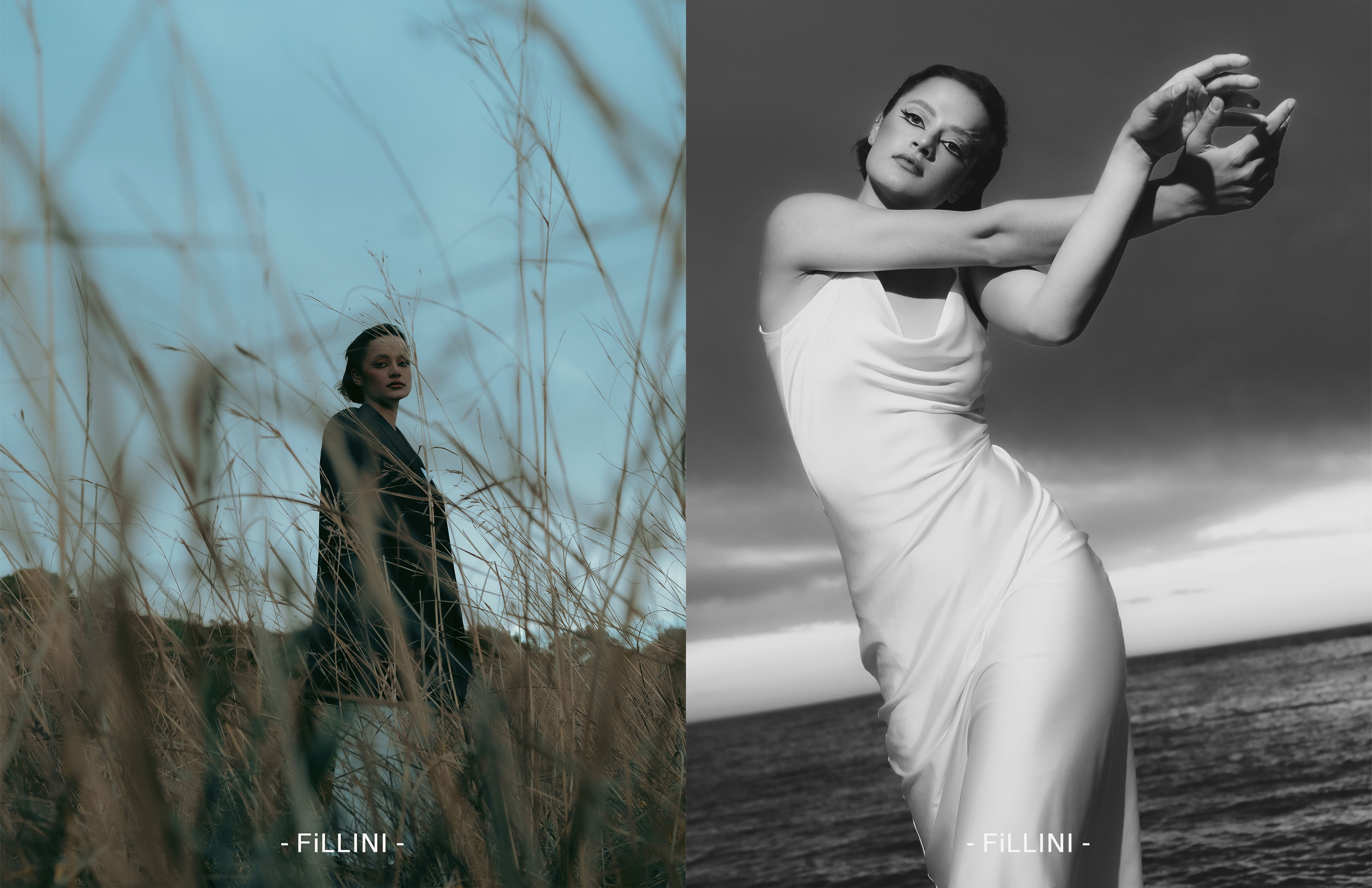 The best publications of the project Dusk in Silence