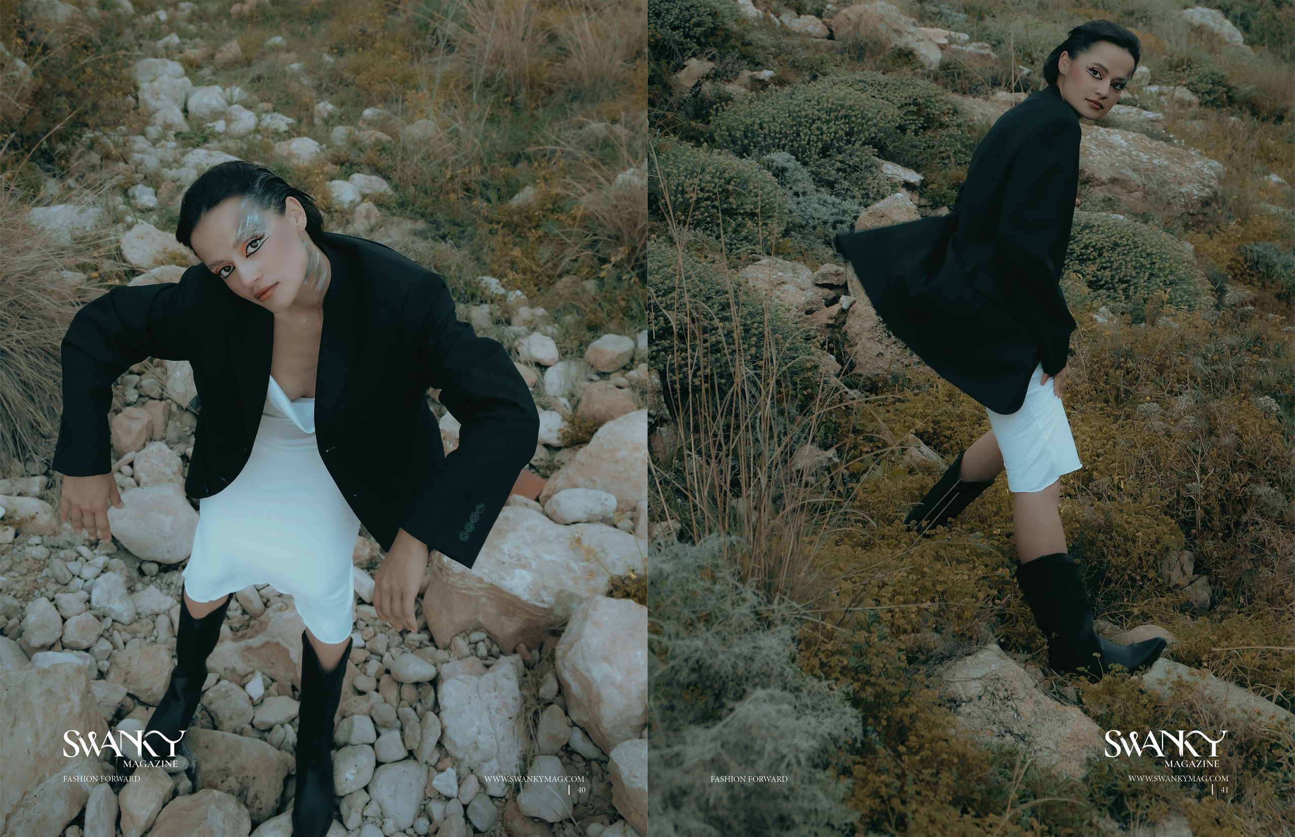 The best publications of the project Dusk in Silence