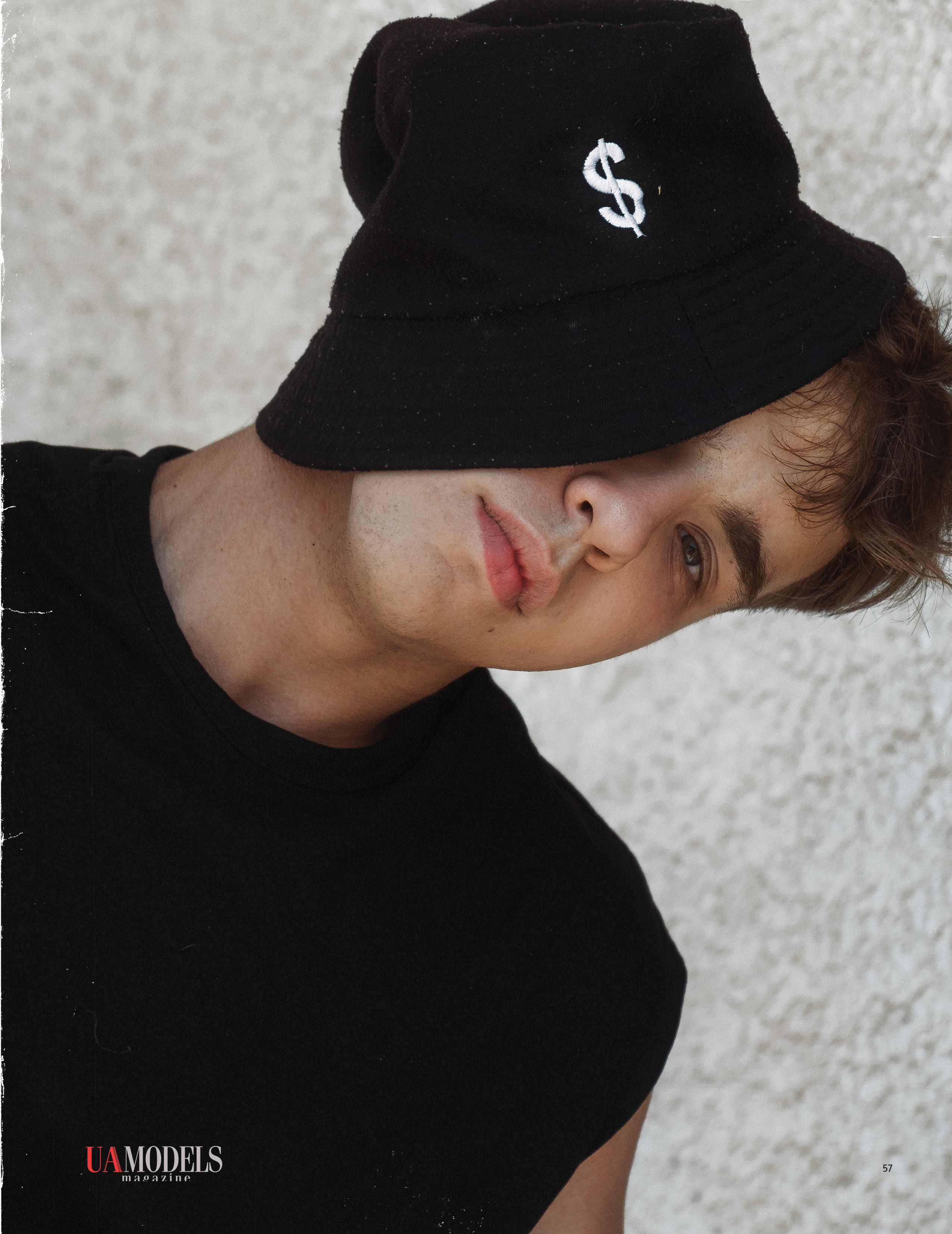 The best publications with Dmitrii Shlein