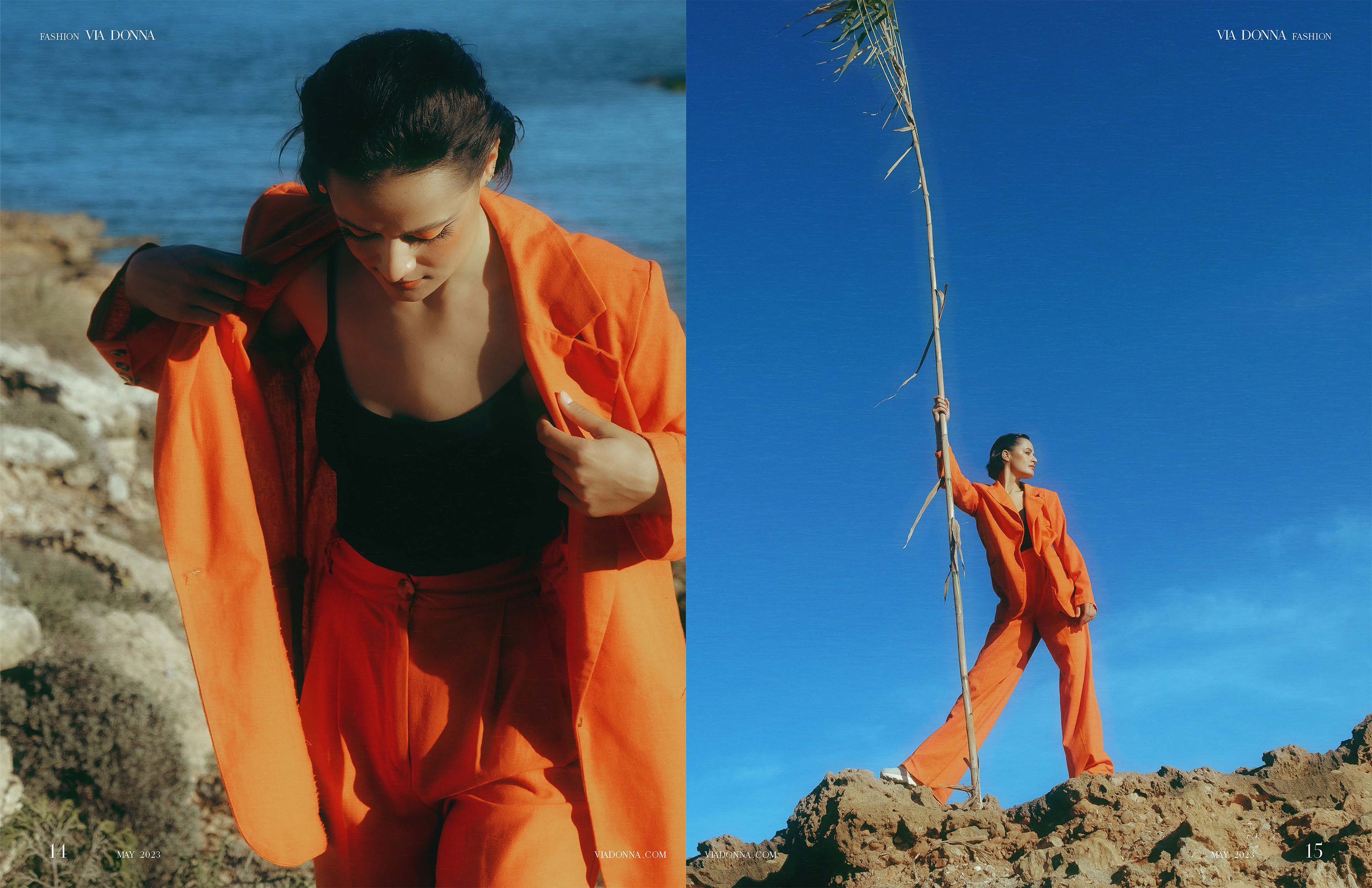 The best publications of the project Orange Orange