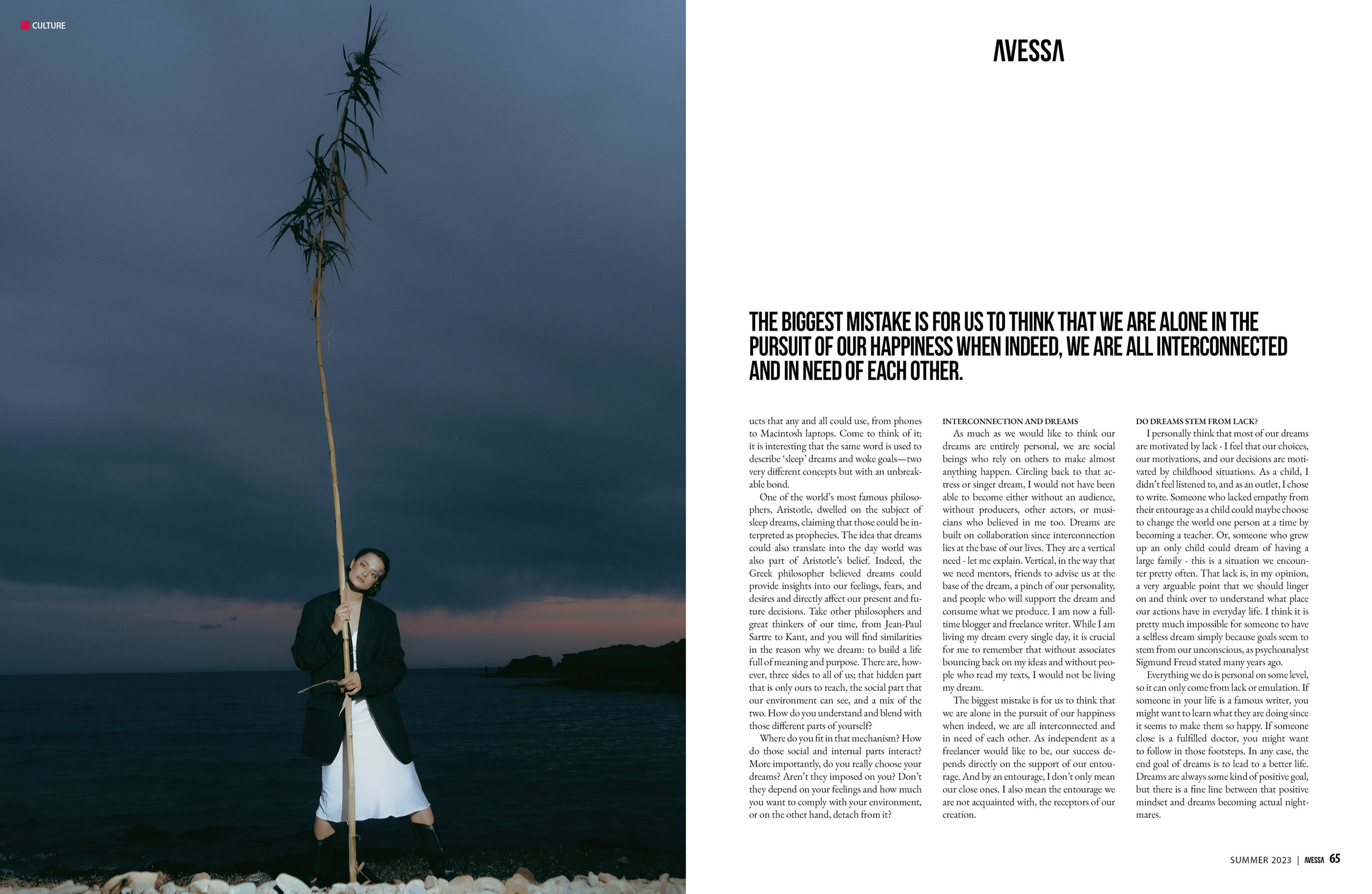 The best publications of the project Dusk in Silence