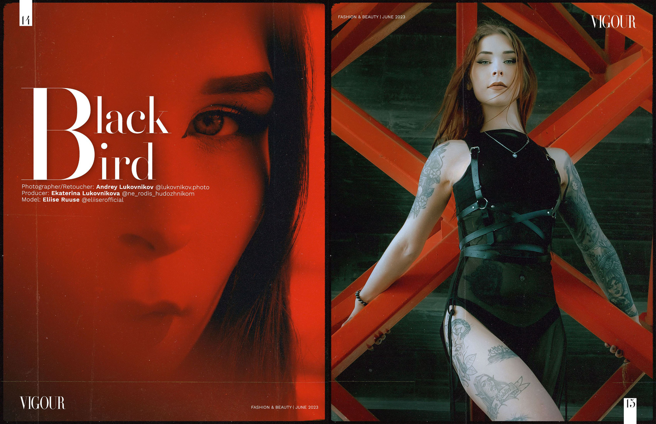Black Bird
