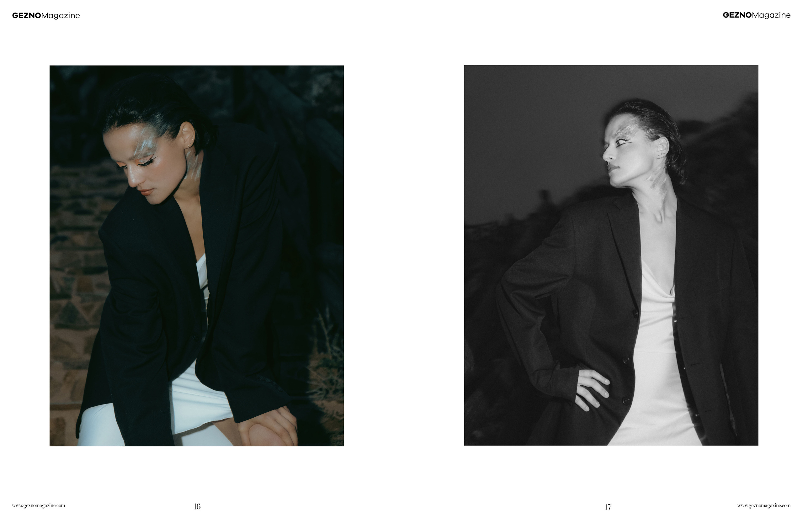 The best publications of the project Dusk in Silence