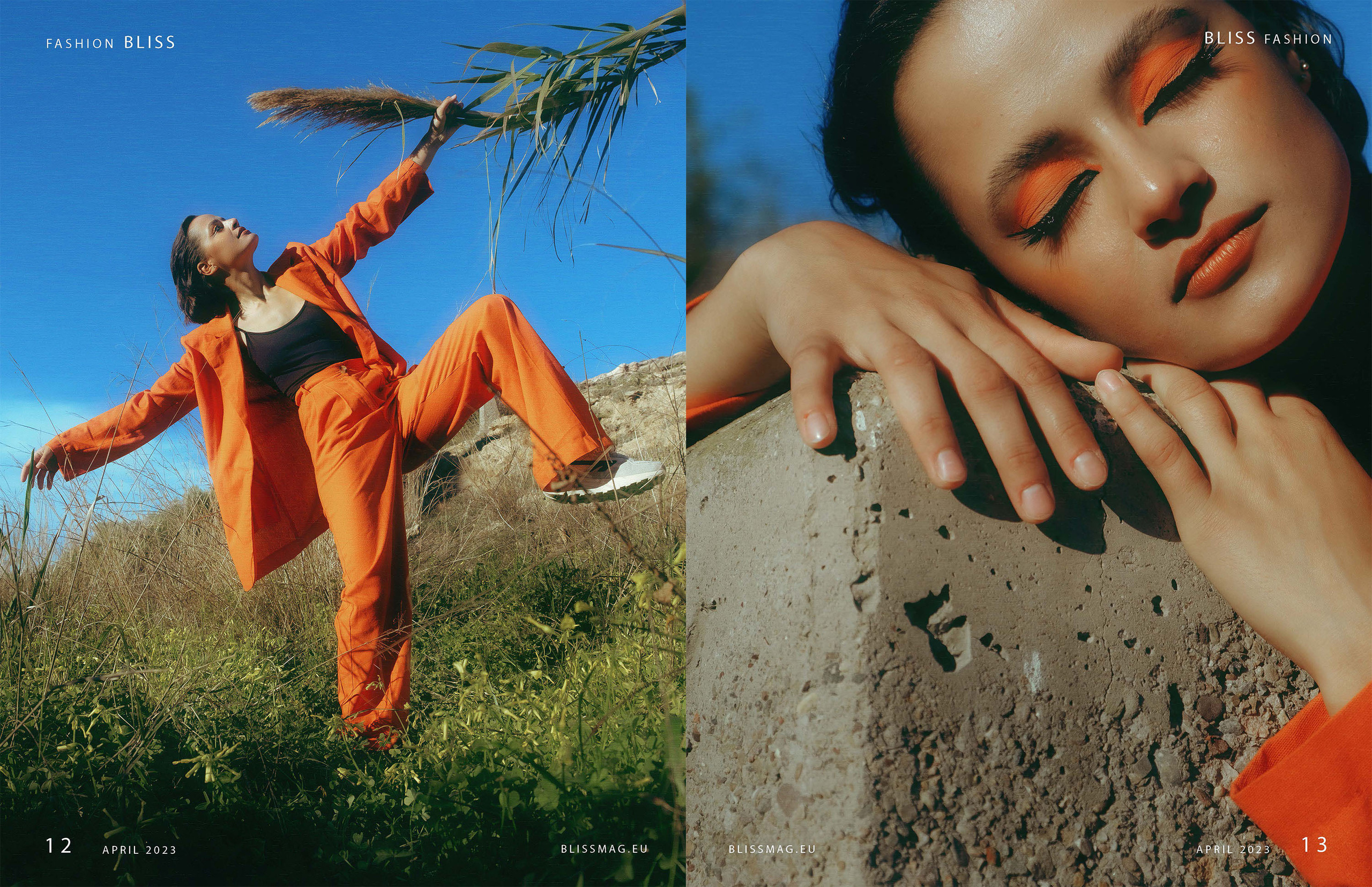 The best publications of the project Orange Orange