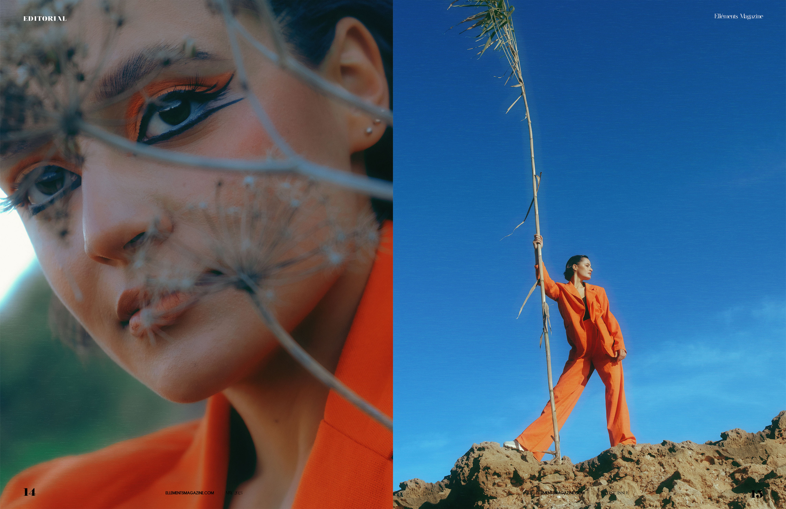 The best publications of the project Orange Orange