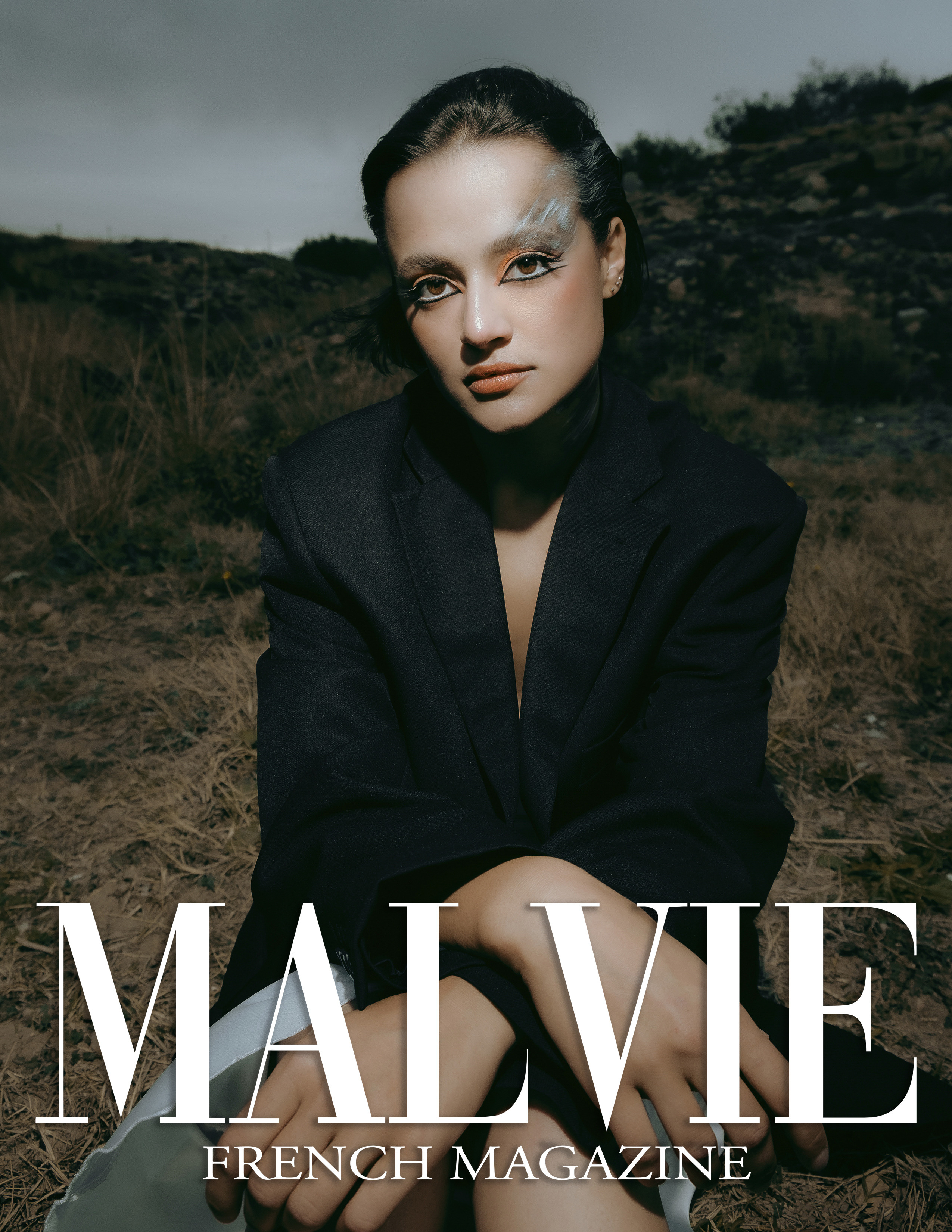 The best publications of the project Dusk in Silence