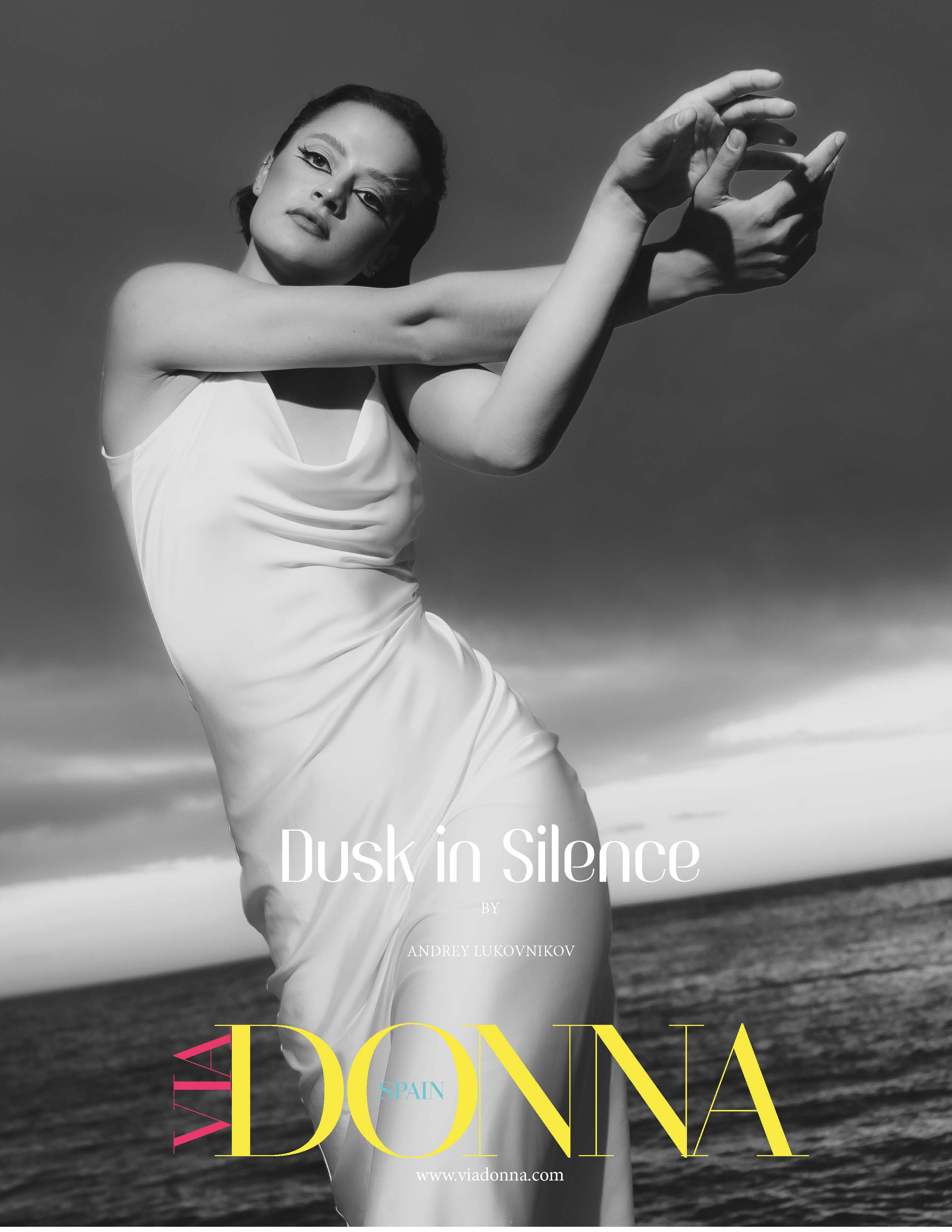 The best publications of the project Dusk in Silence