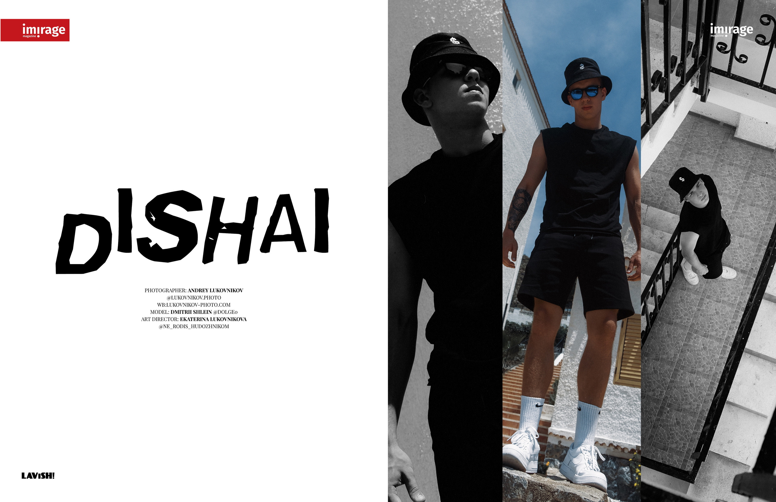 The best publications with Dmitrii Shlein