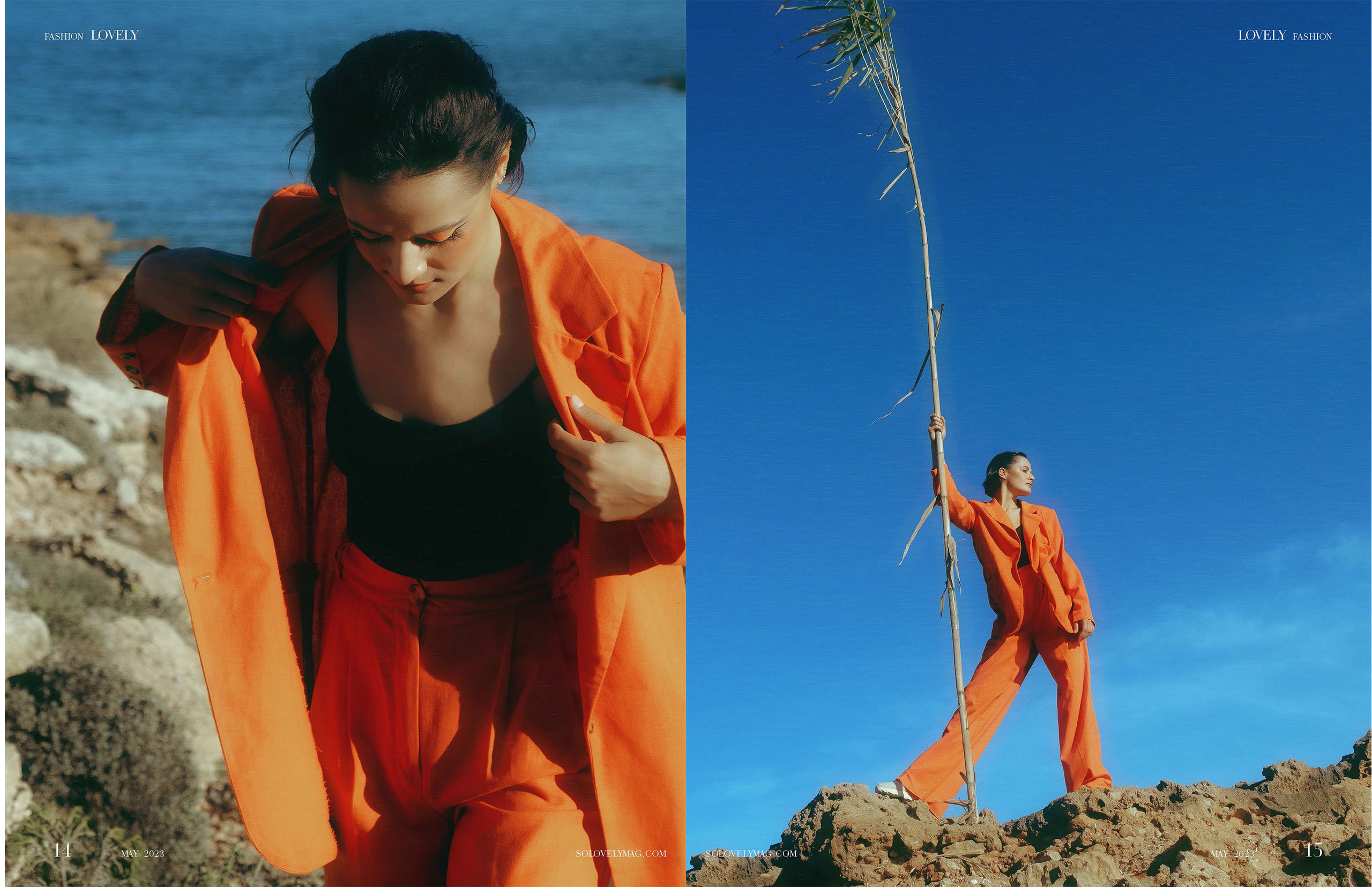 The best publications of the project Orange Orange