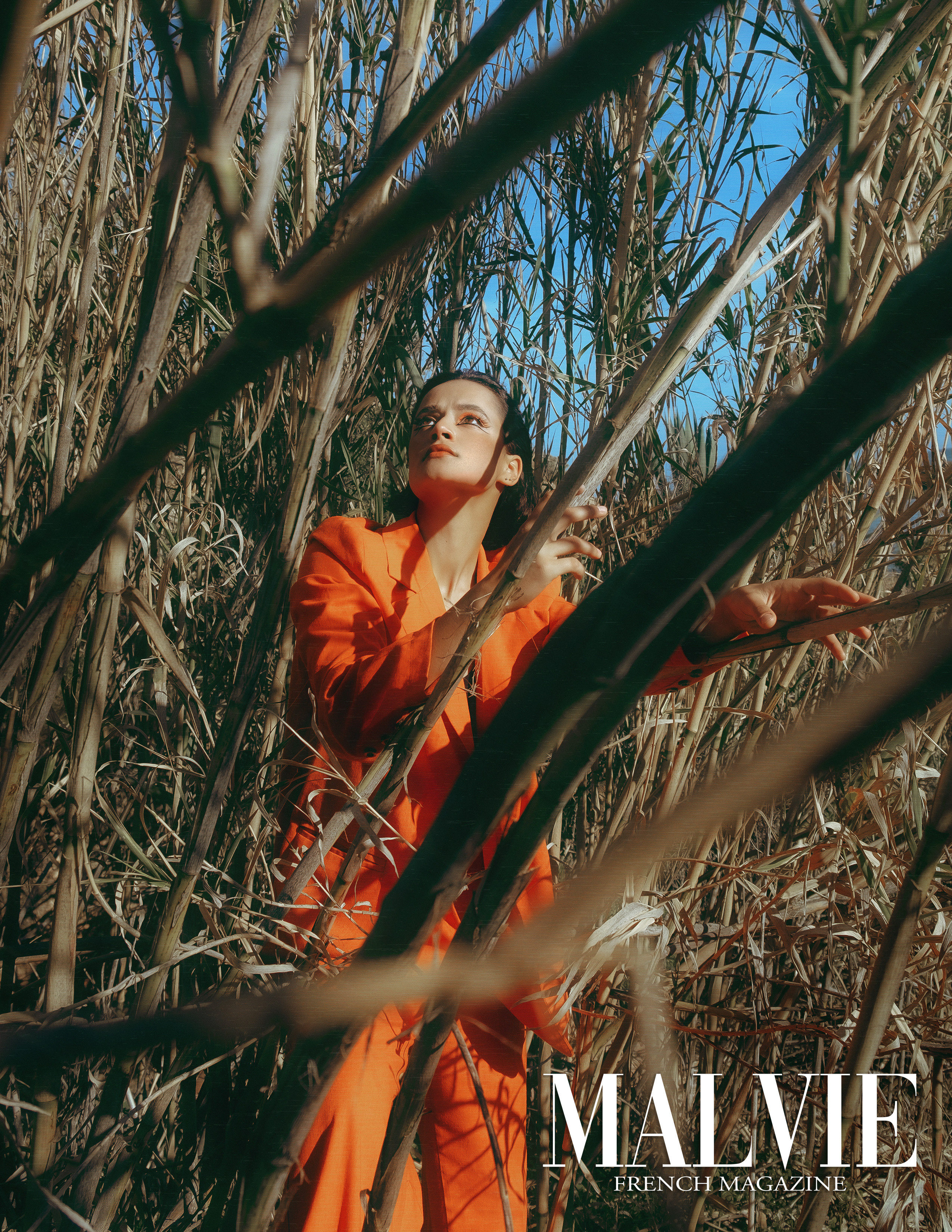 The best publications of the project Orange Orange