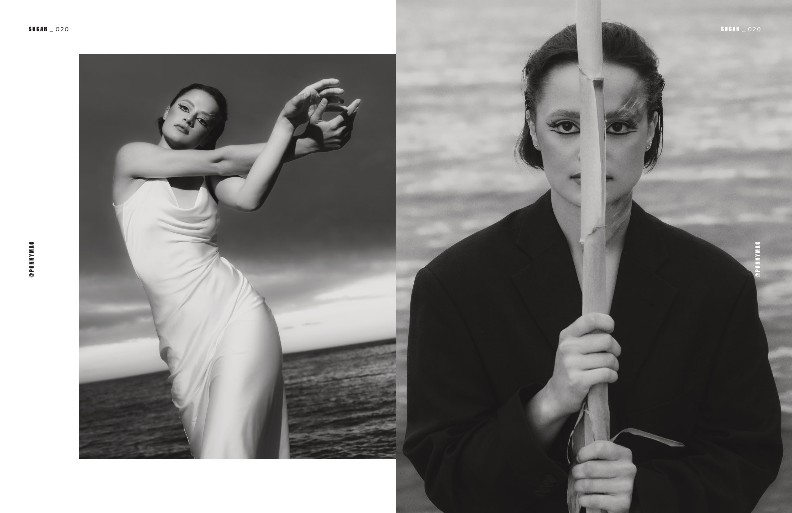 The best publications of the project Dusk in Silence