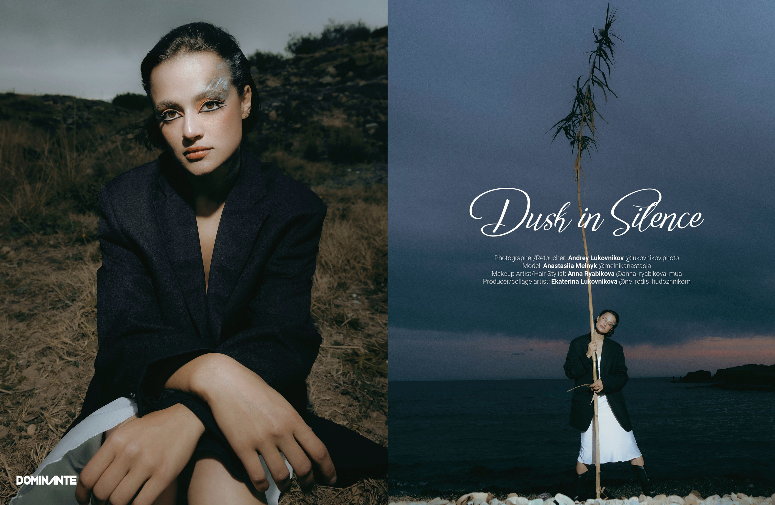 The best publications of the project Dusk in Silence