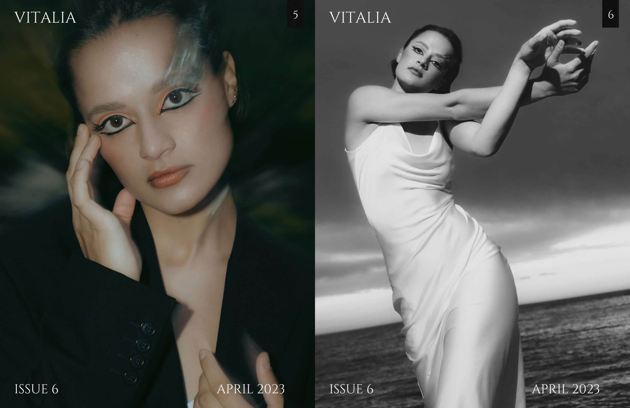 The best publications of the project Dusk in Silence