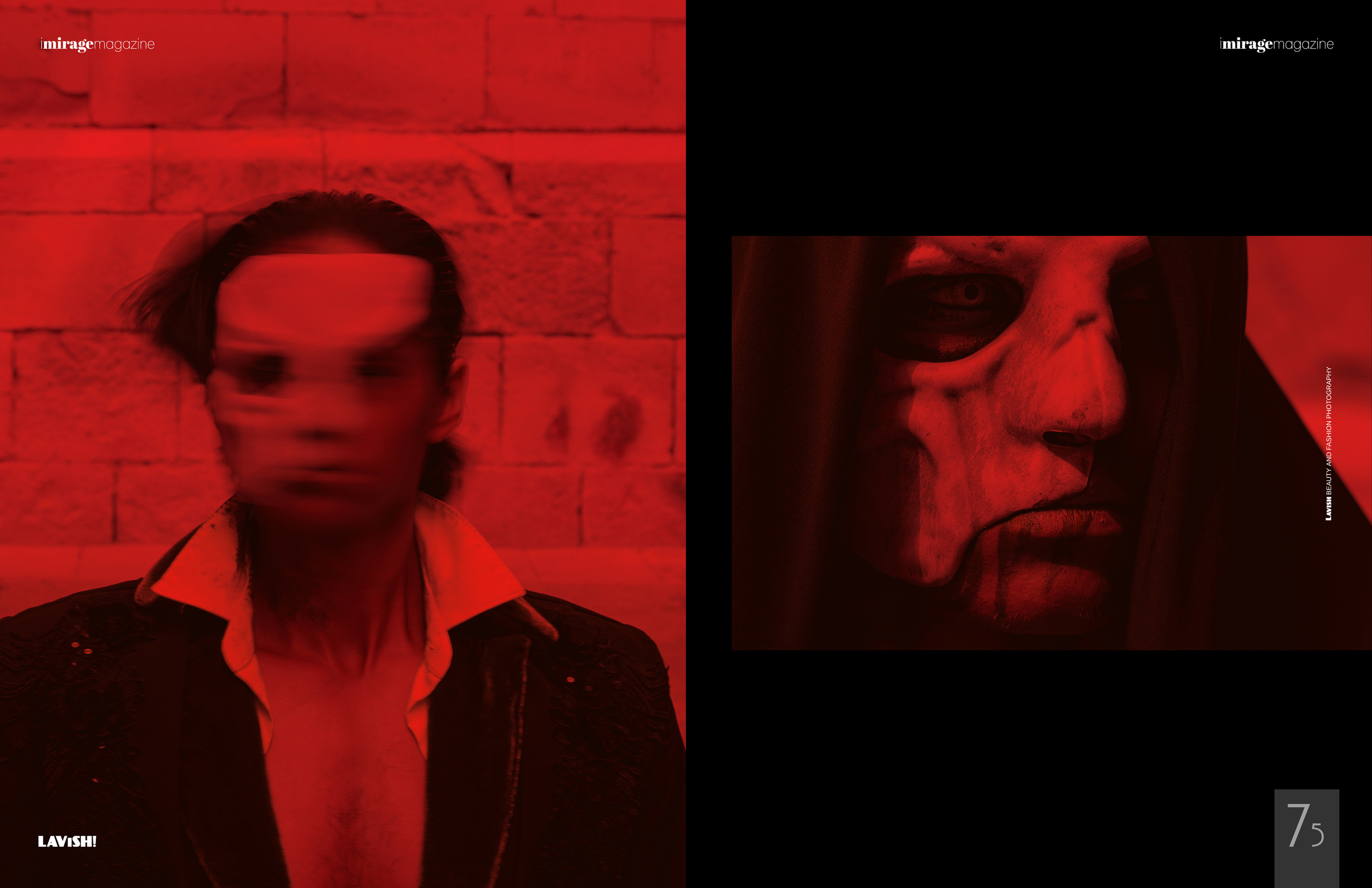 The best publications of the project The Phantom