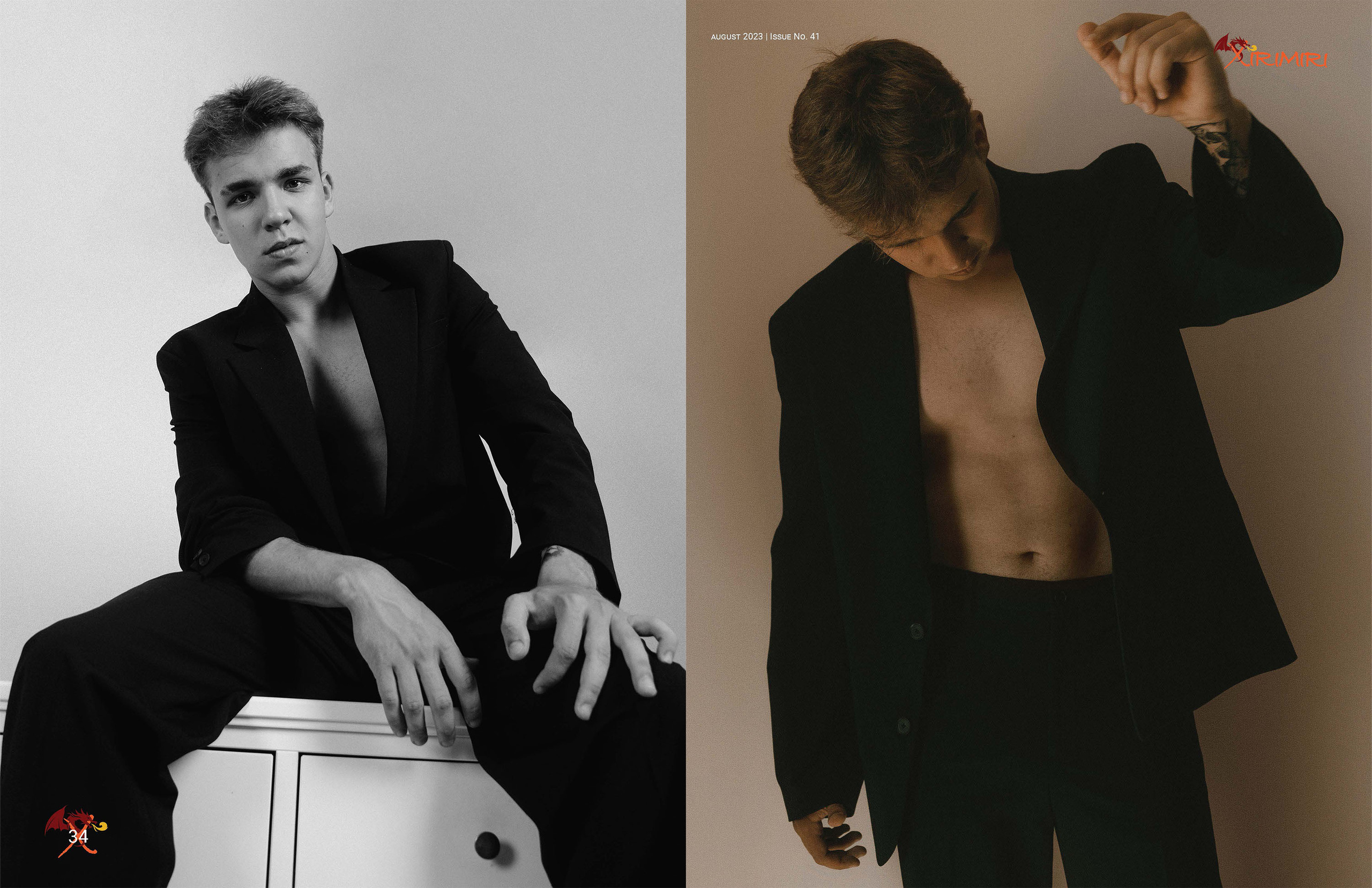 The best publications with Dmitrii Shlein