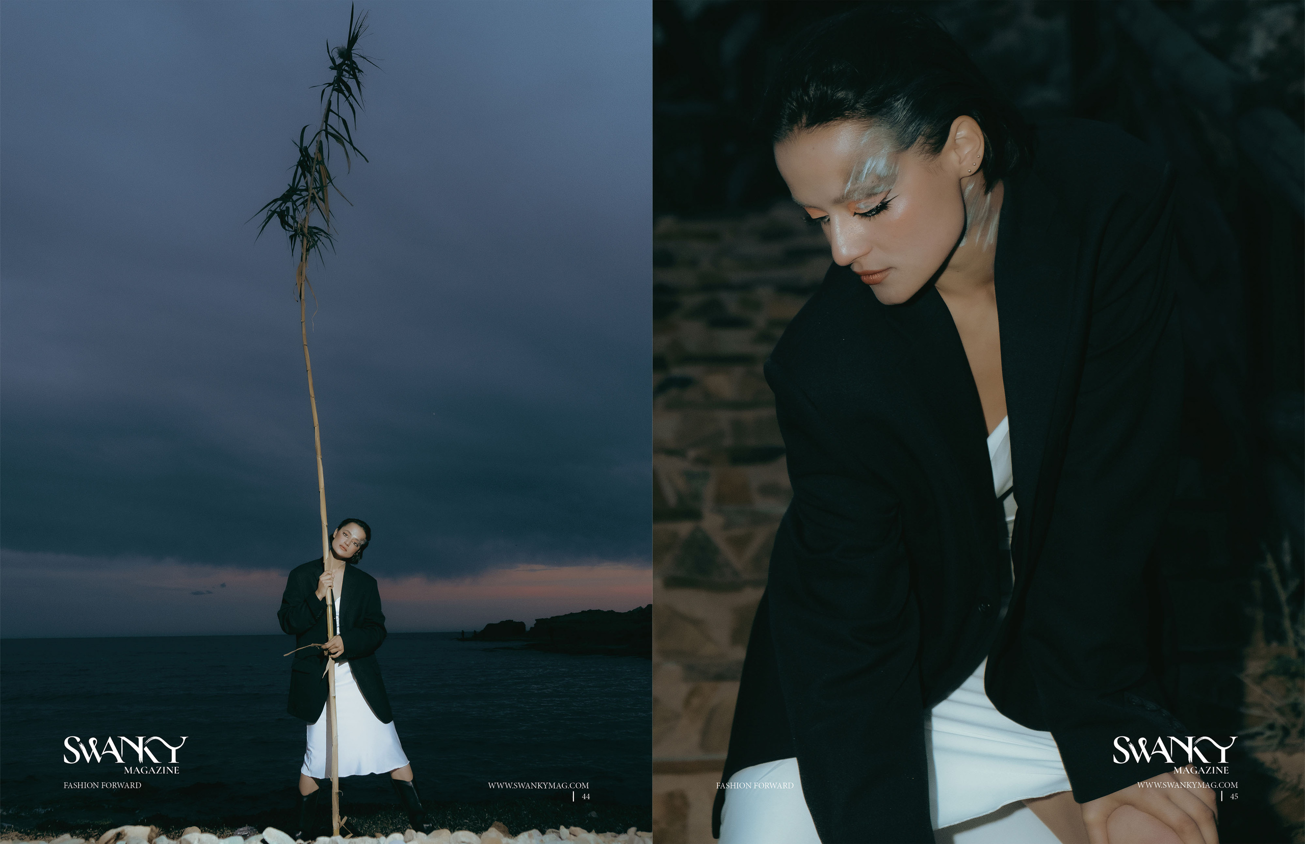 The best publications of the project Dusk in Silence