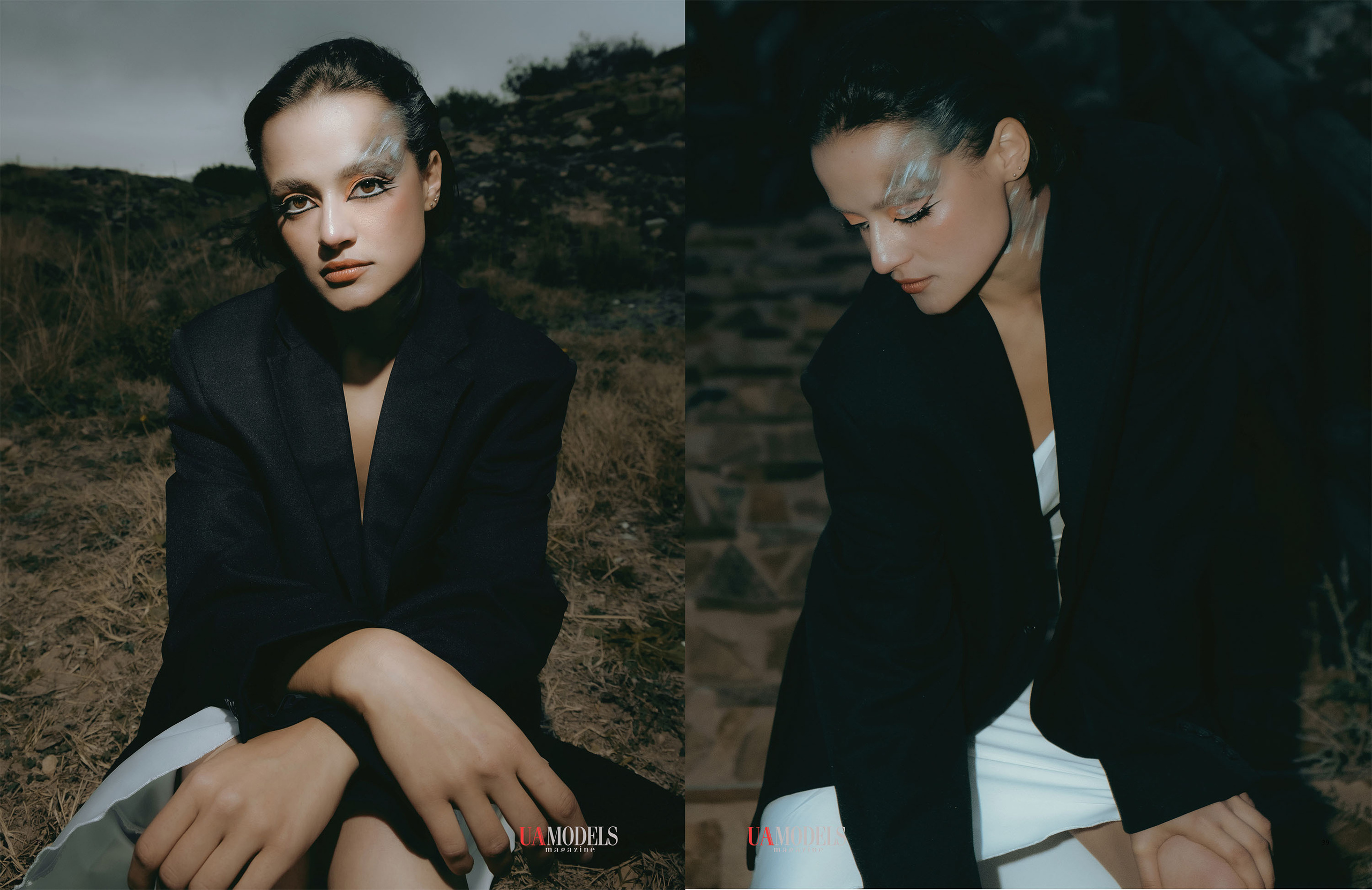 The best publications of the project Dusk in Silence