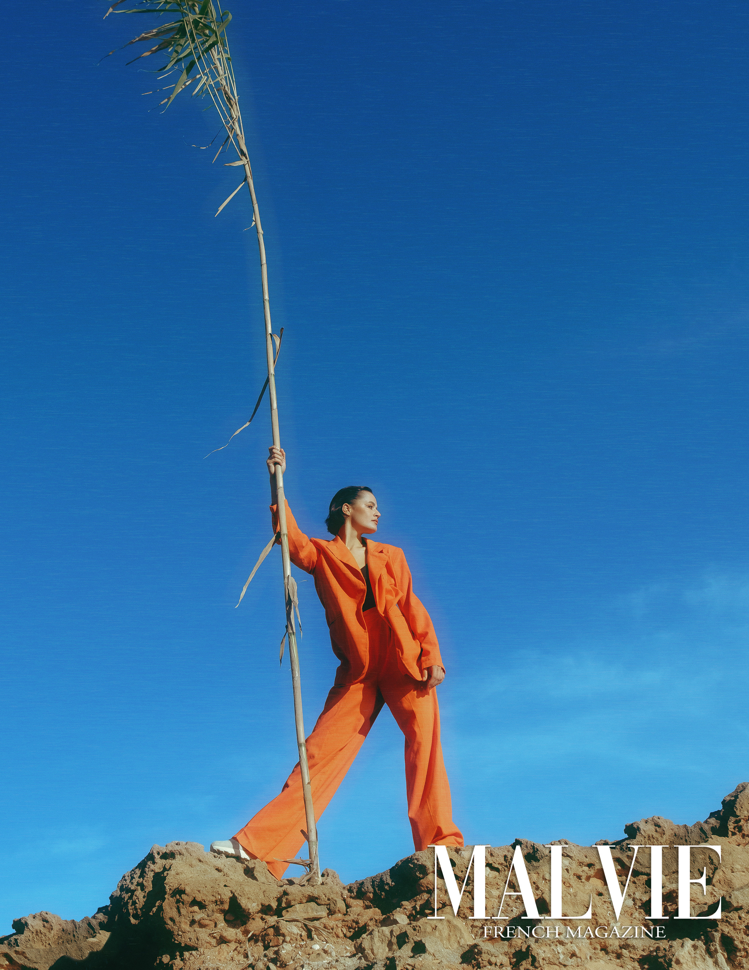 The best publications of the project Orange Orange