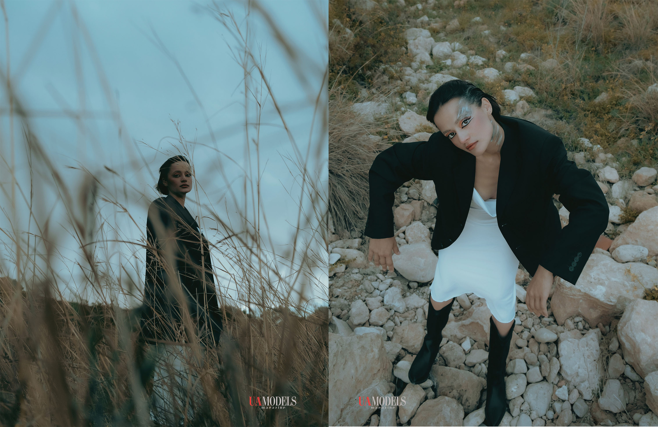 The best publications of the project Dusk in Silence