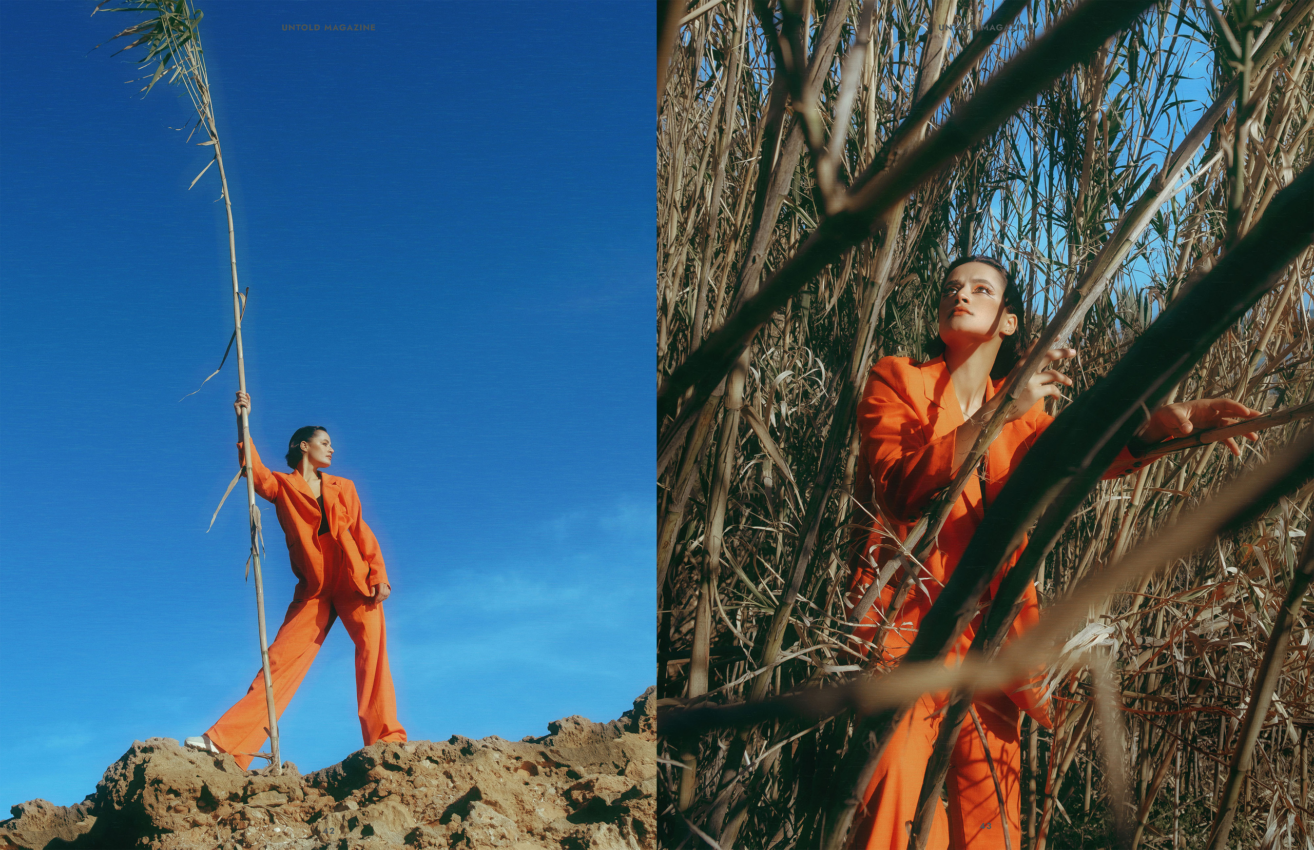 The best publications of the project Orange Orange