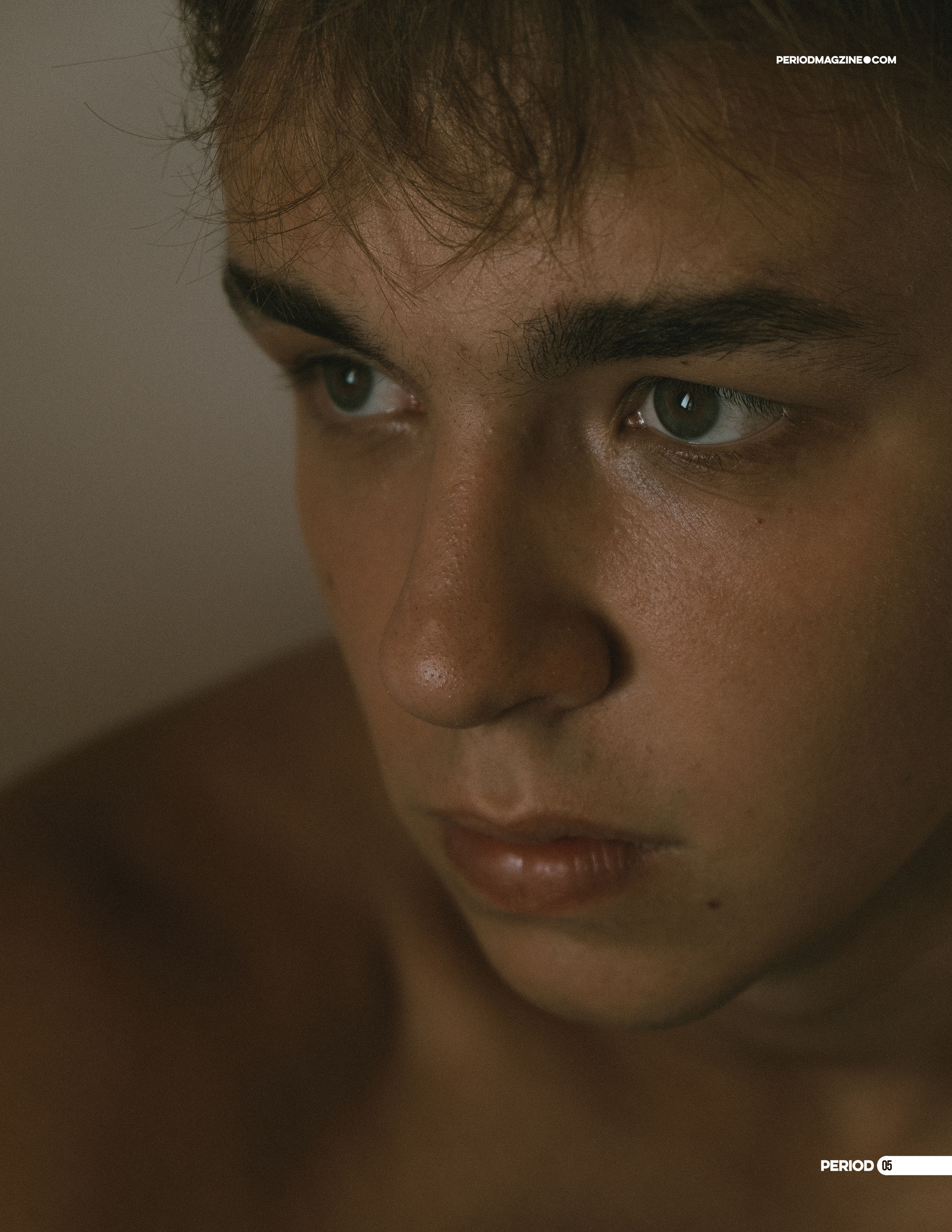 The best publications with Dmitrii Shlein