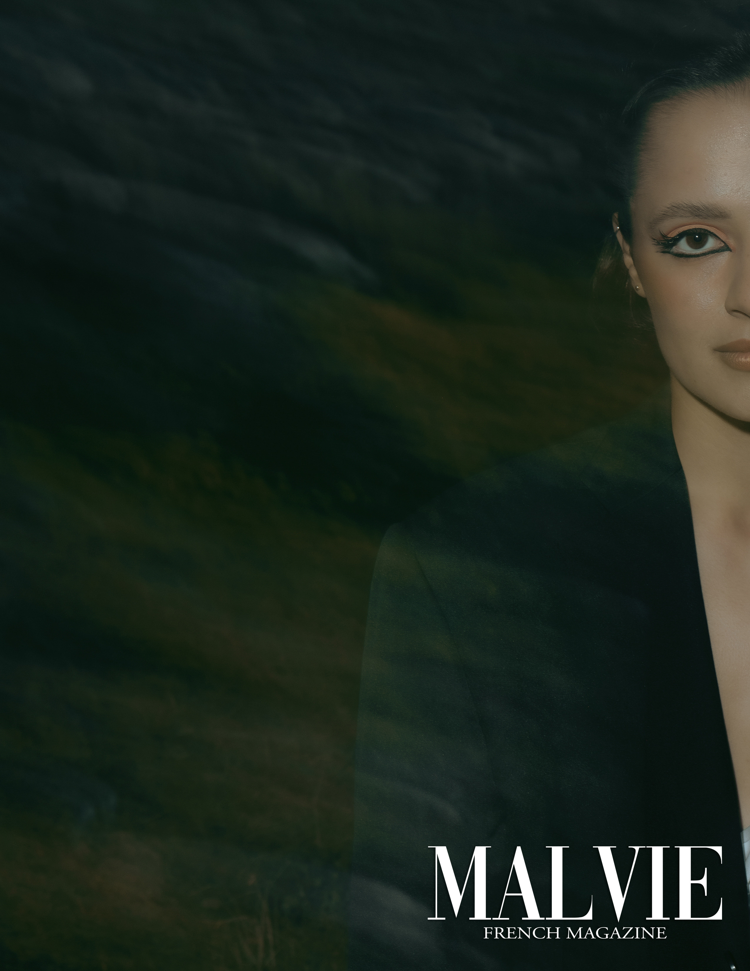 The best publications of the project Dusk in Silence