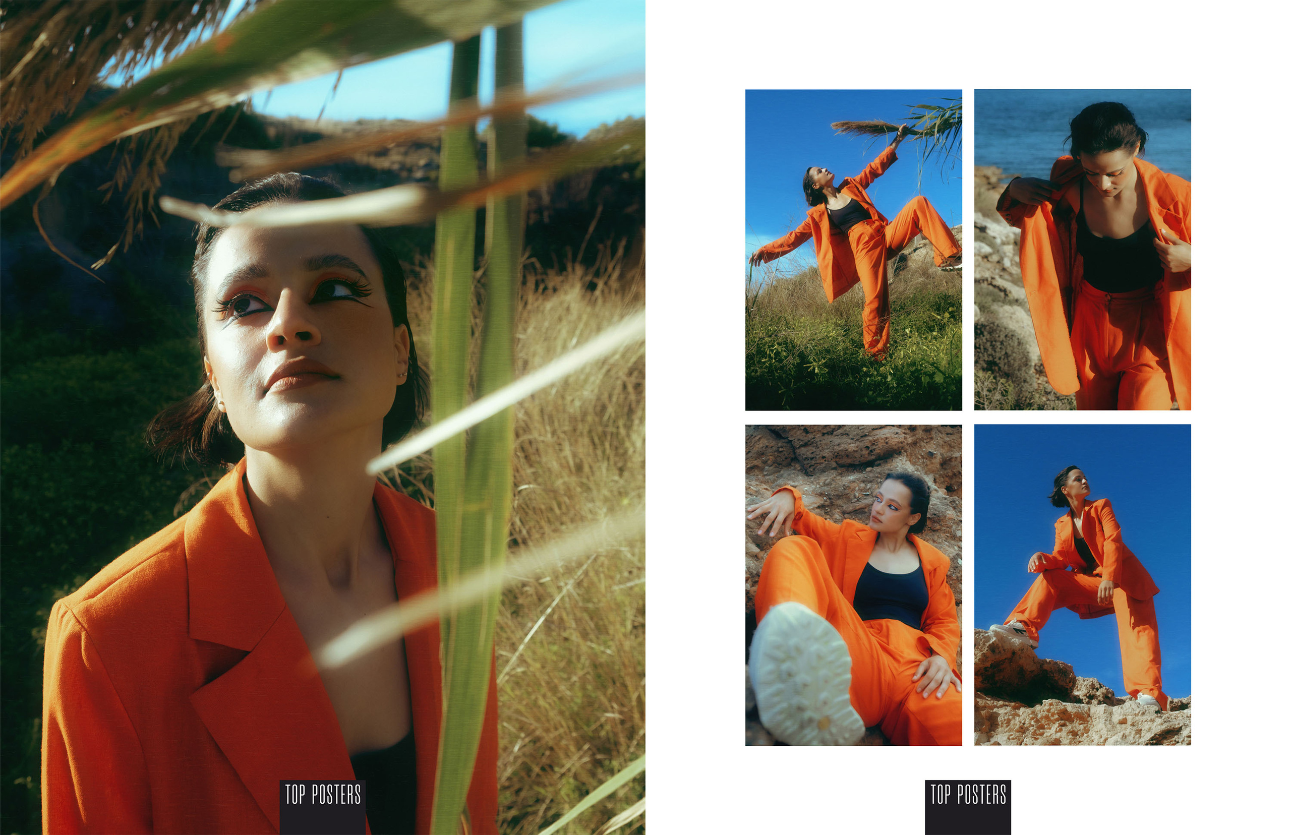 The best publications of the project Orange Orange