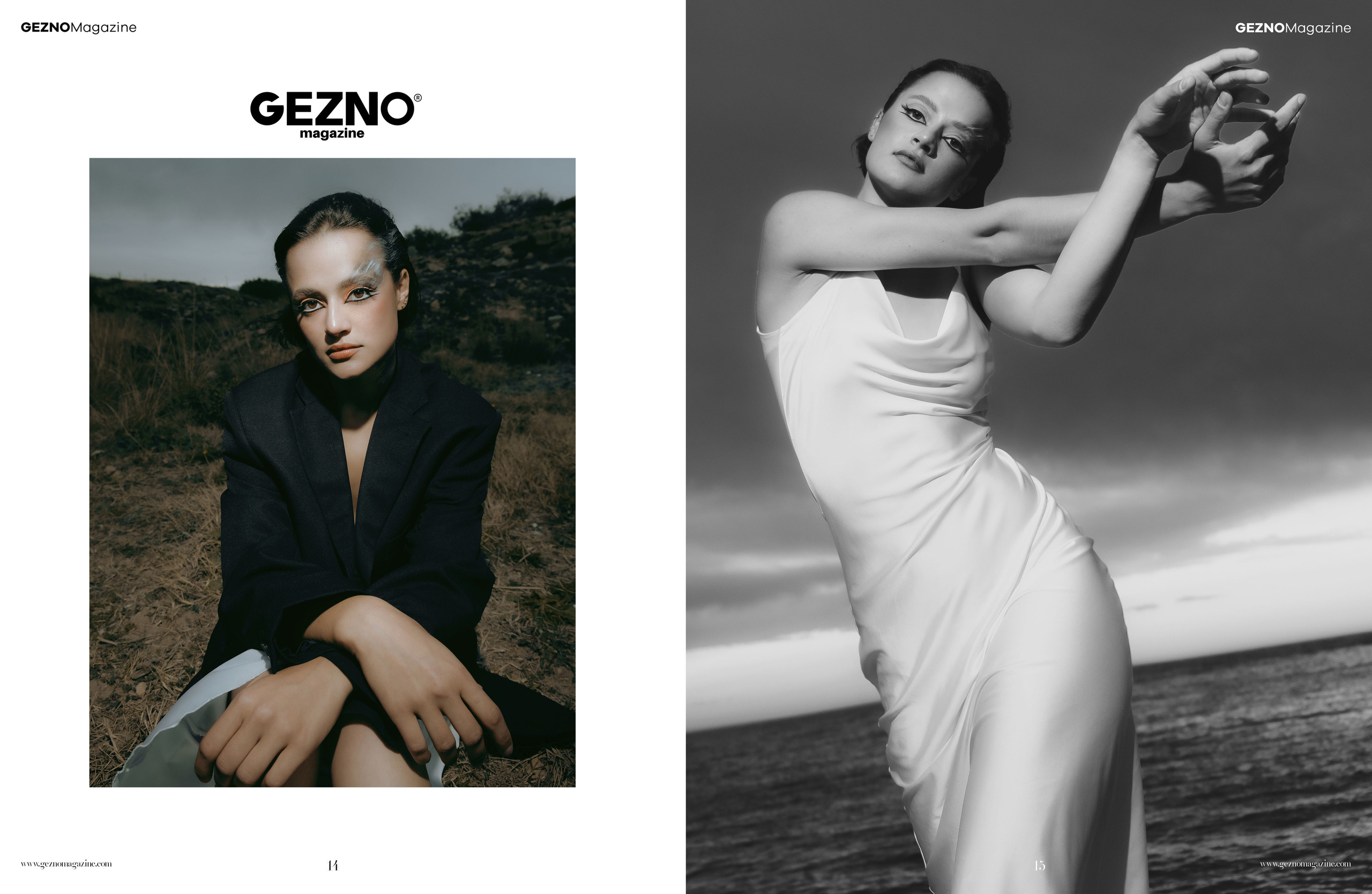 The best publications of the project Dusk in Silence