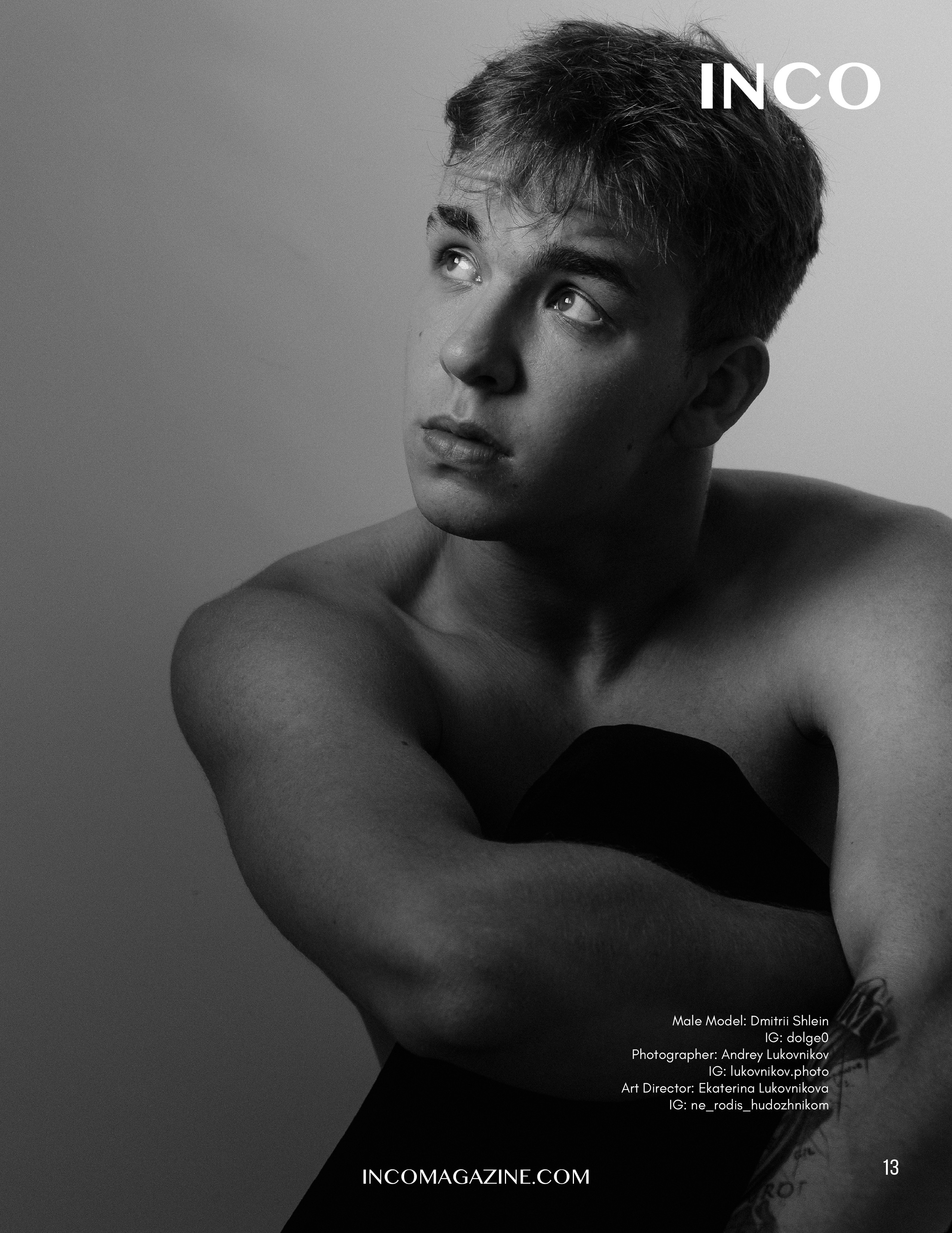 The best publications with Dmitrii Shlein