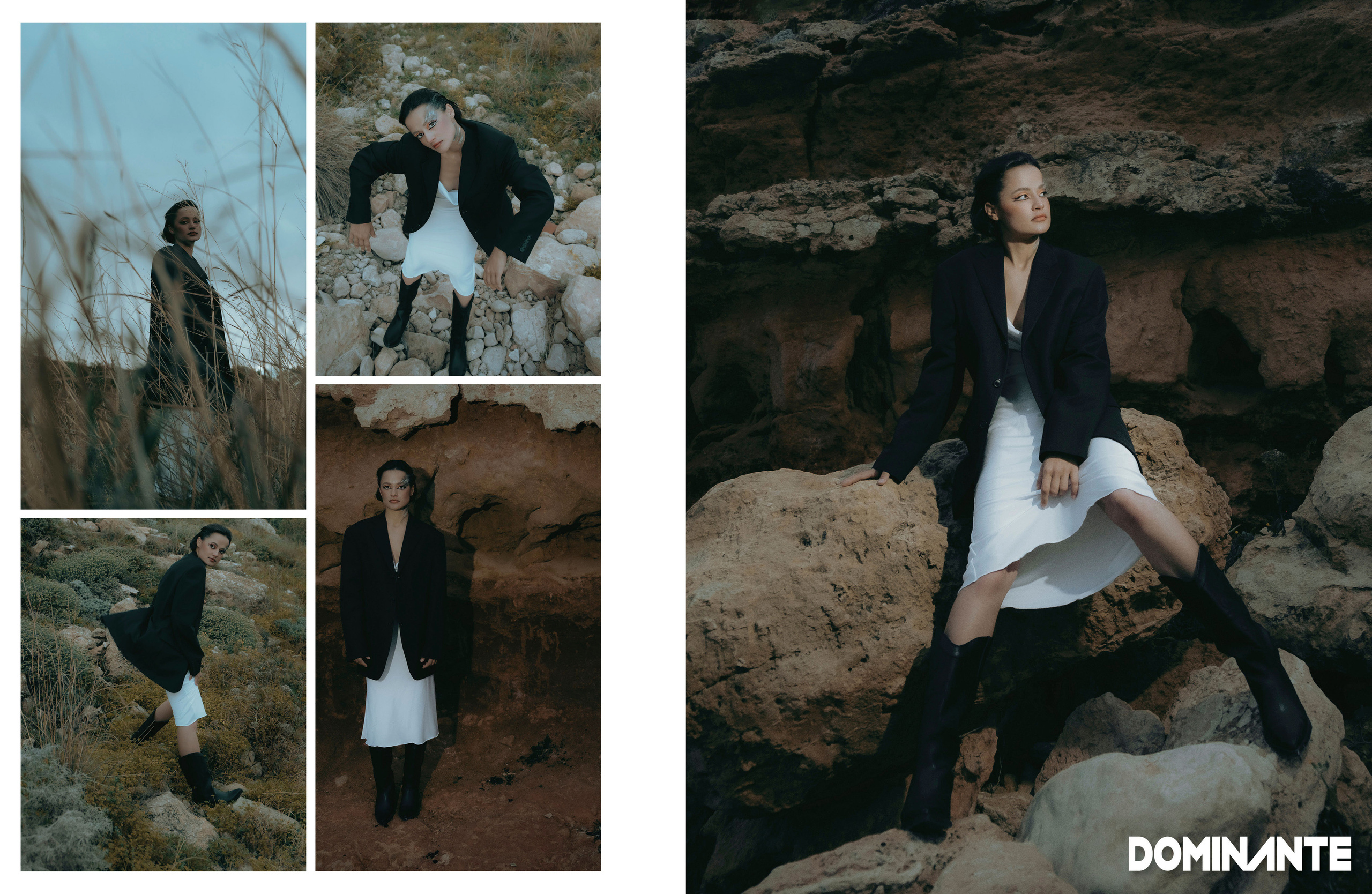 The best publications of the project Dusk in Silence