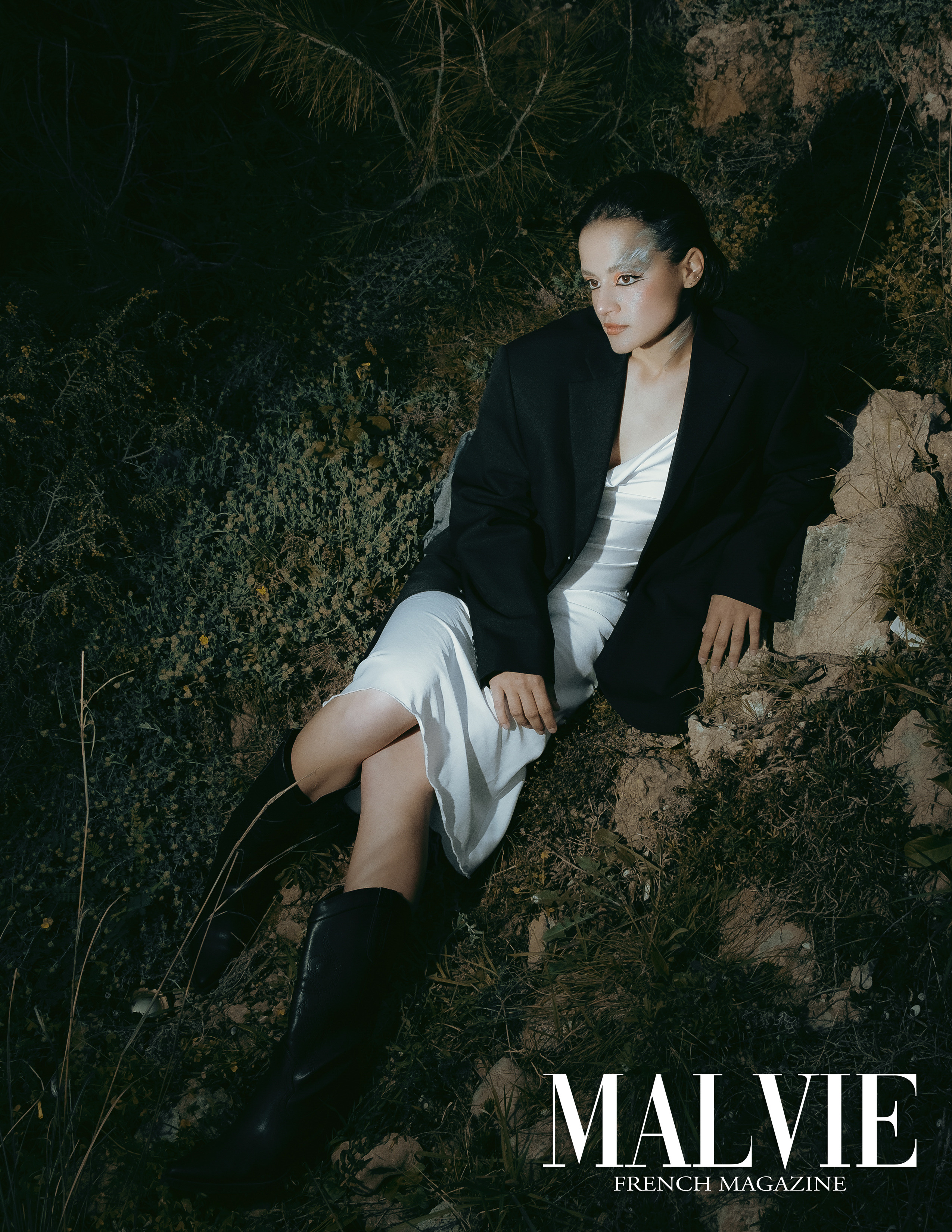 The best publications of the project Dusk in Silence