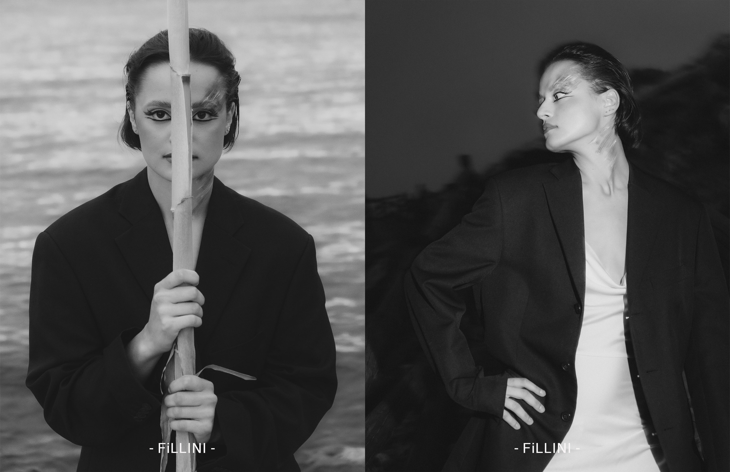 The best publications of the project Dusk in Silence