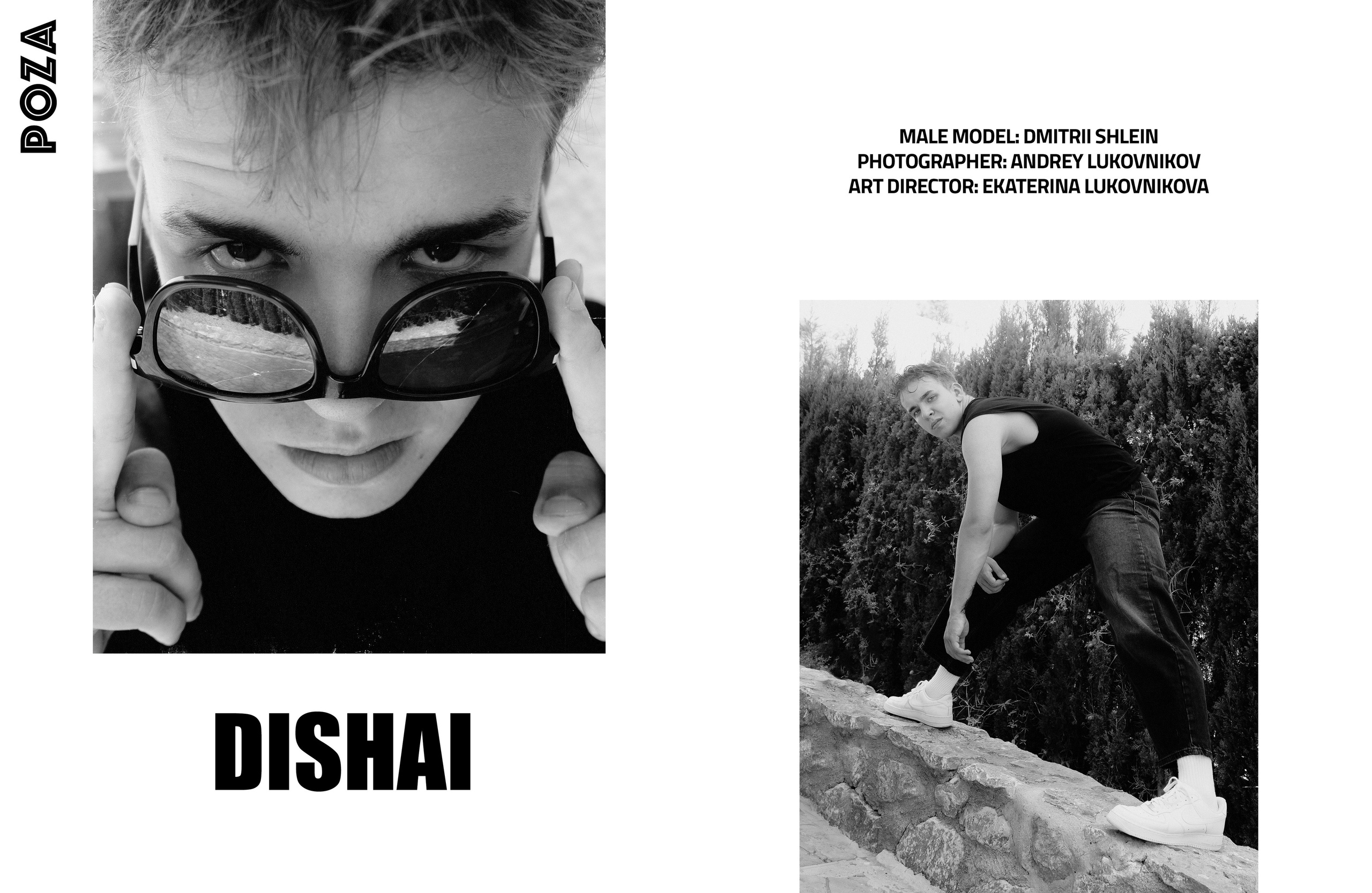 The best publications with Dmitrii Shlein