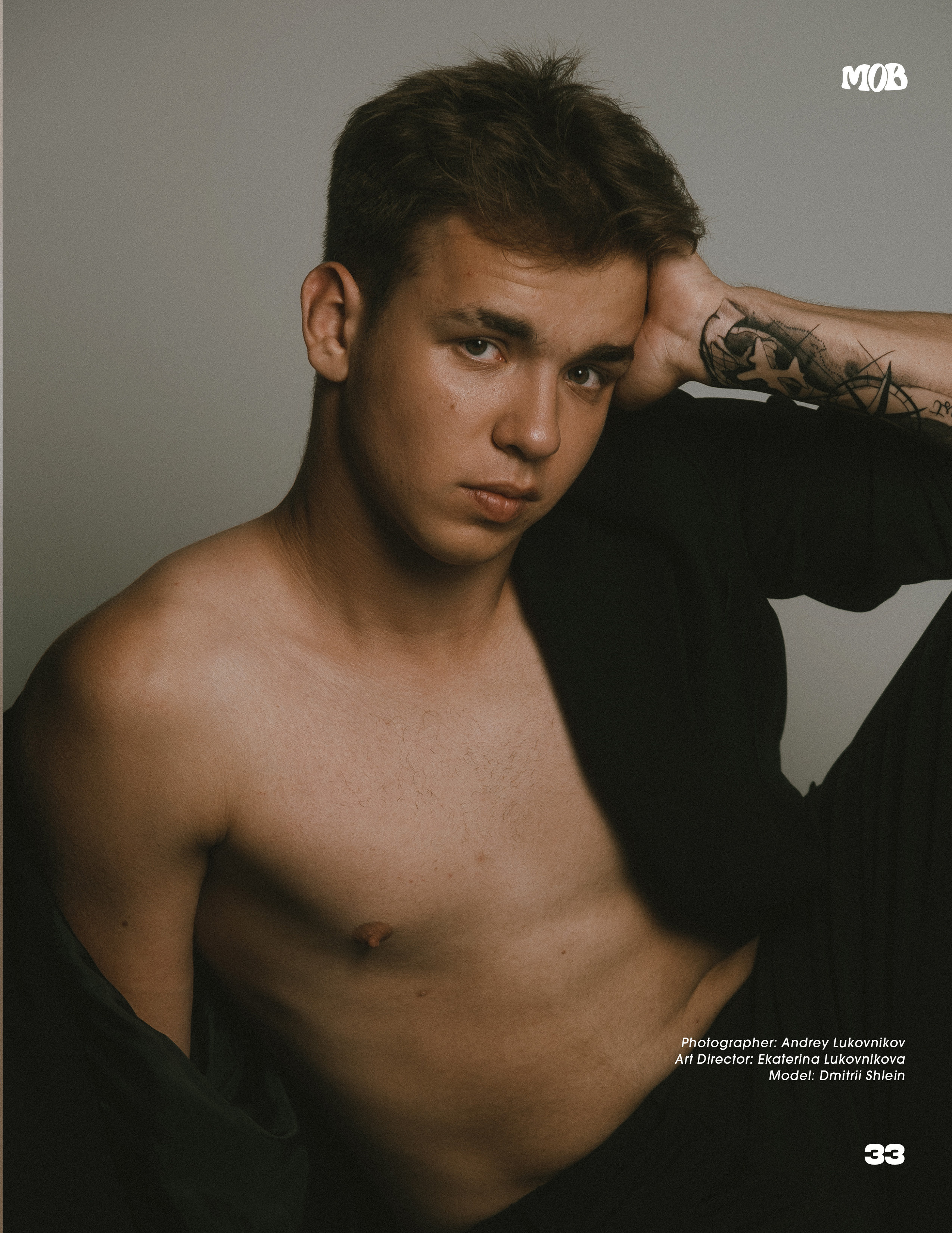 The best publications with Dmitrii Shlein