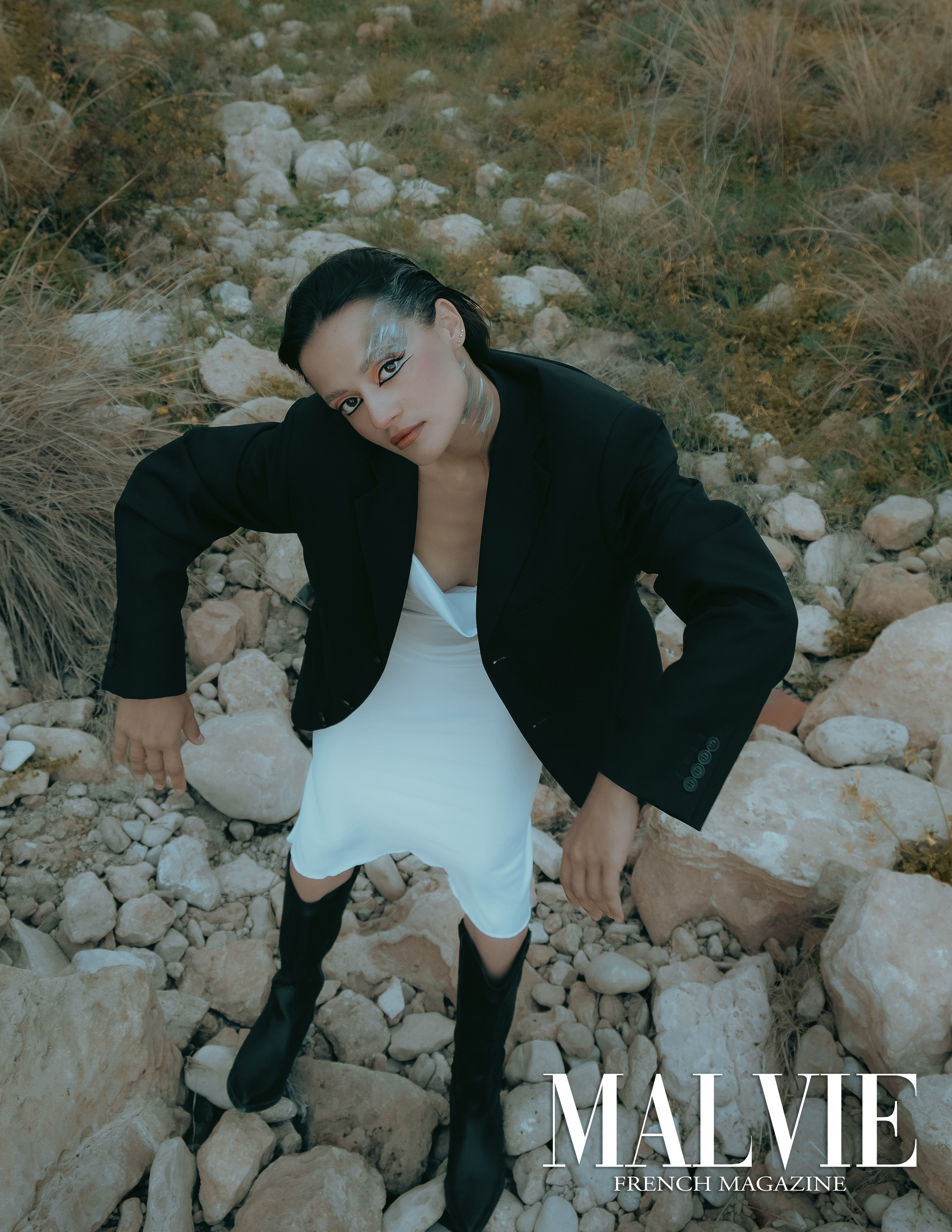 The best publications of the project Dusk in Silence