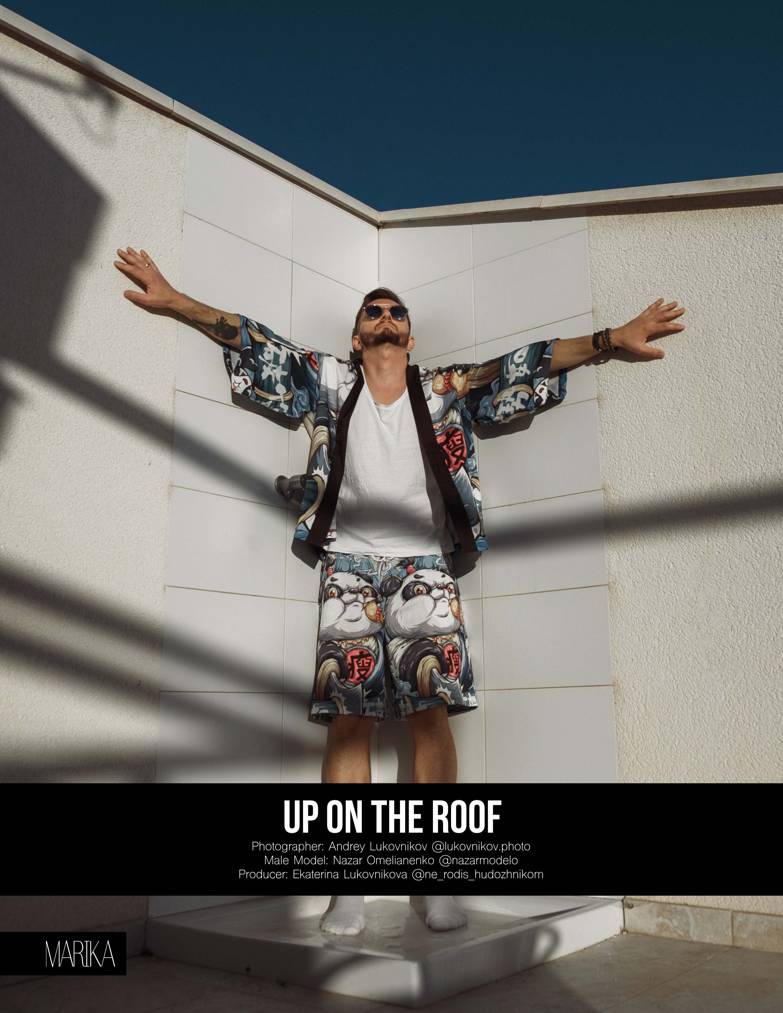 The best publications of the project Up on the Roof