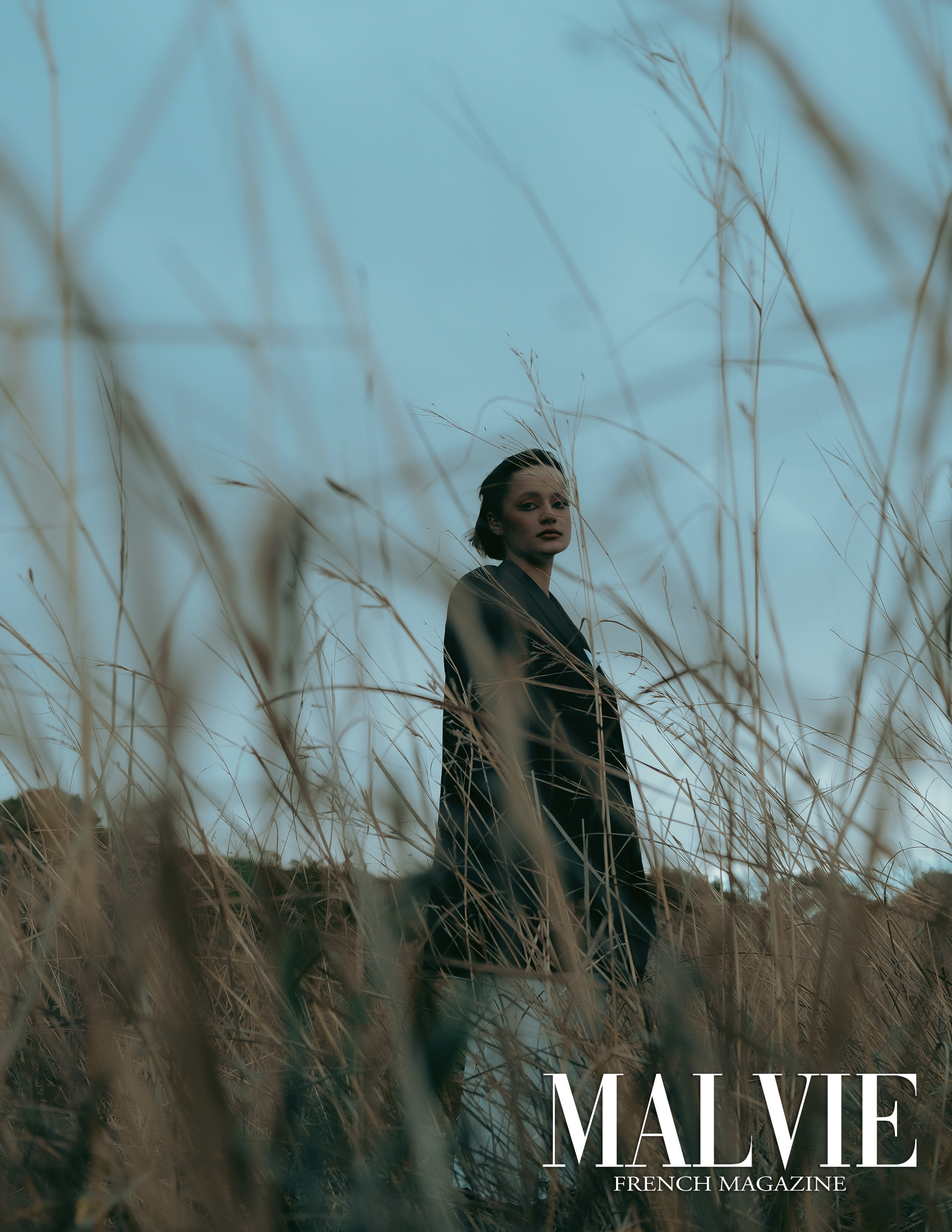 The best publications of the project Dusk in Silence