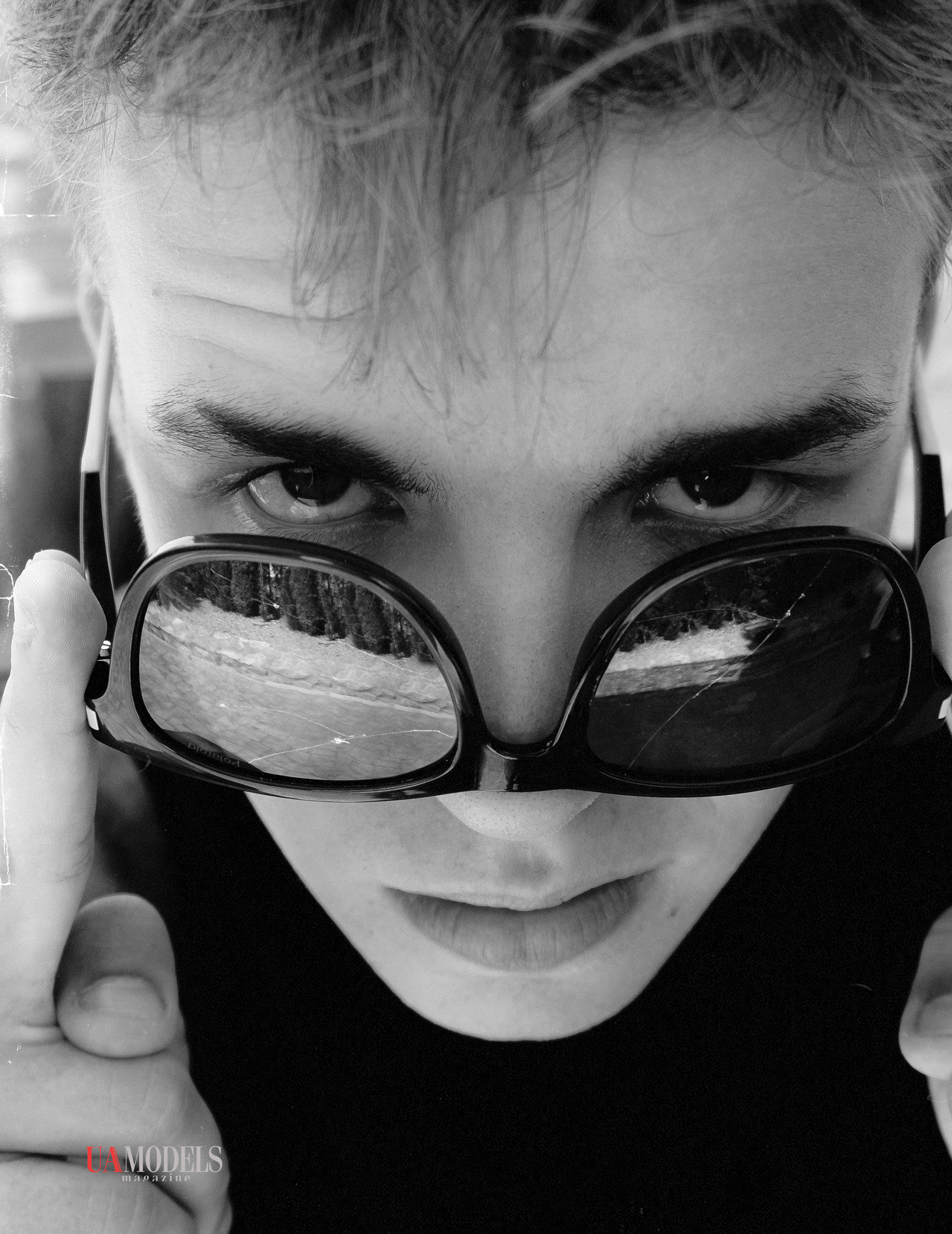 The best publications with Dmitrii Shlein