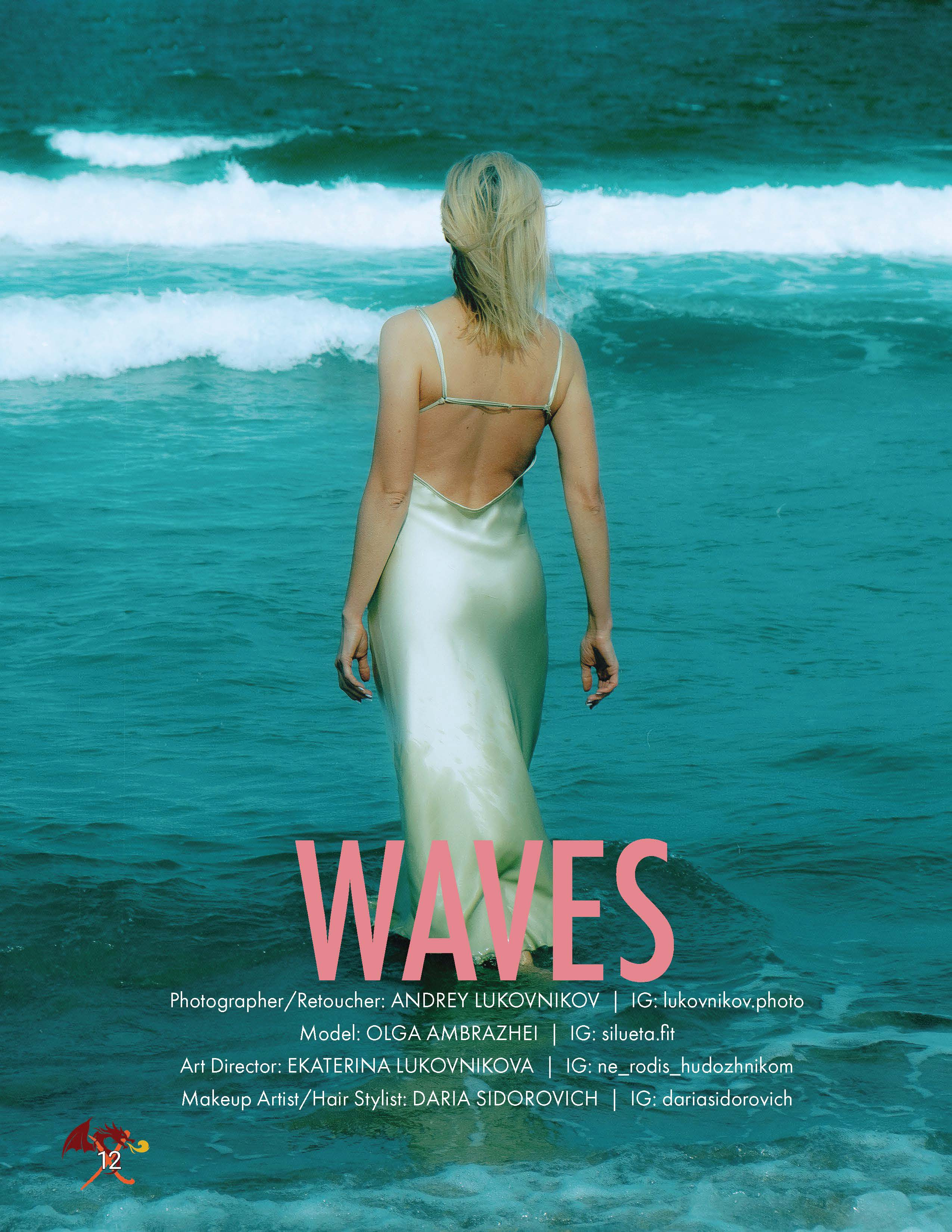 The best publications of the project Waves