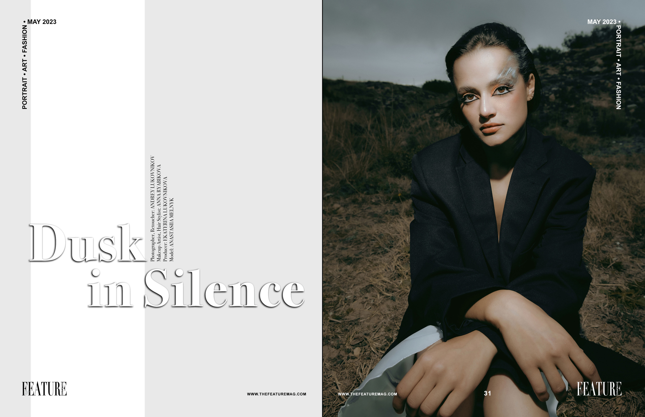 The best publications of the project Dusk in Silence