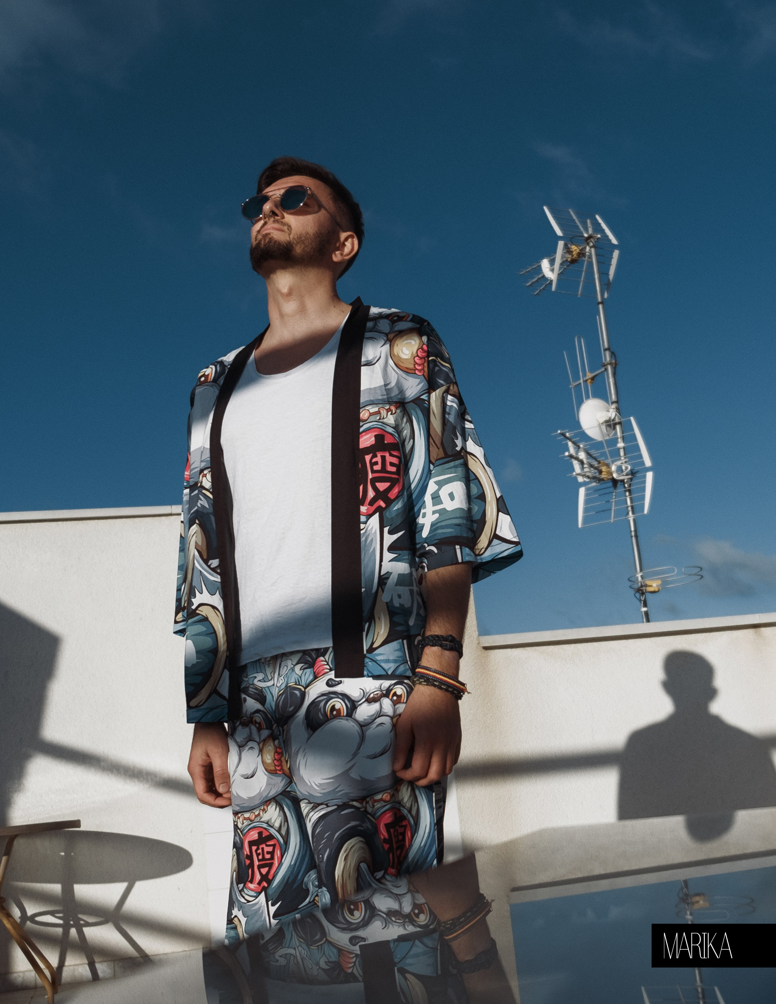 The best publications of the project Up on the Roof