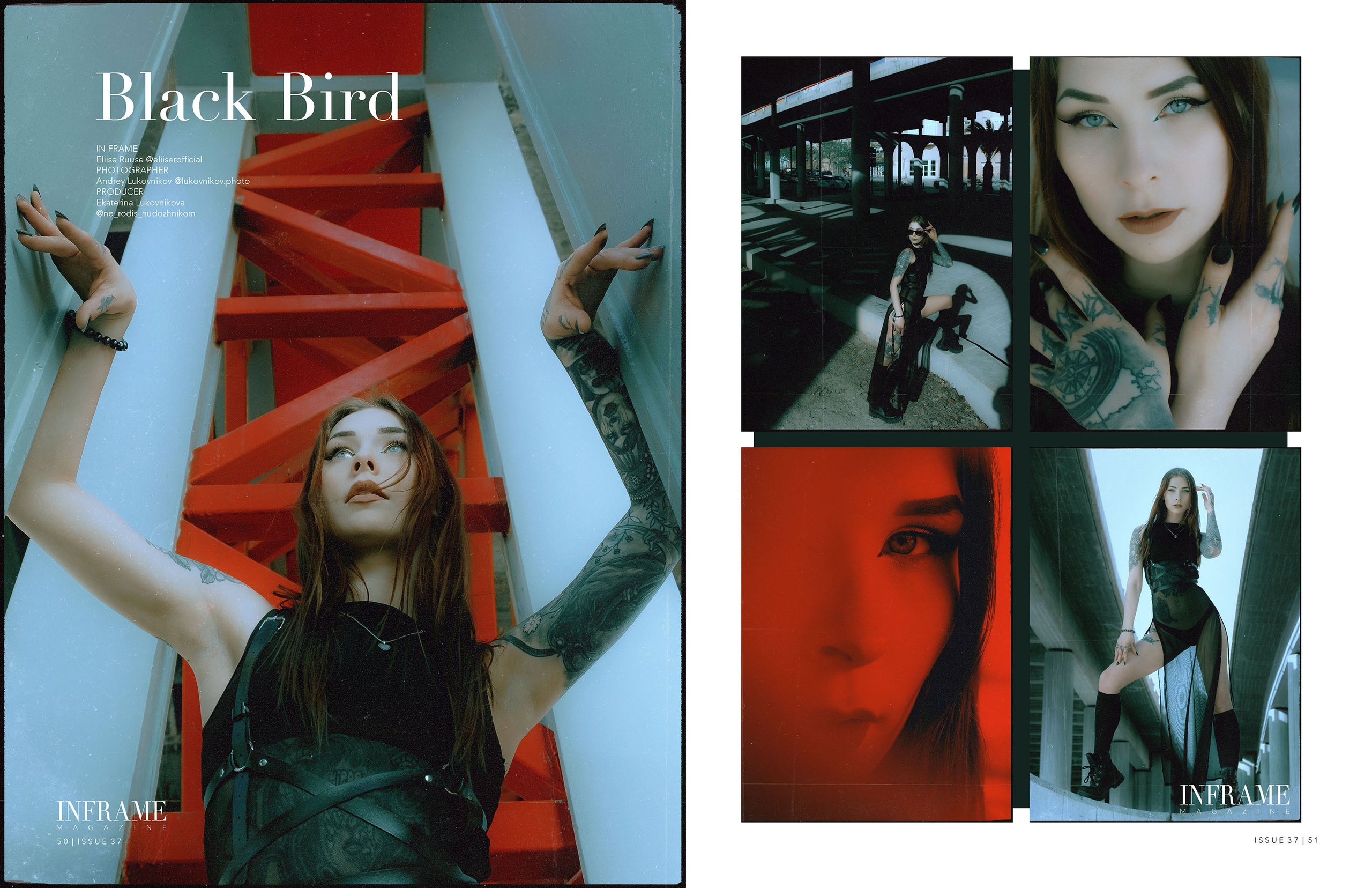 Black Bird