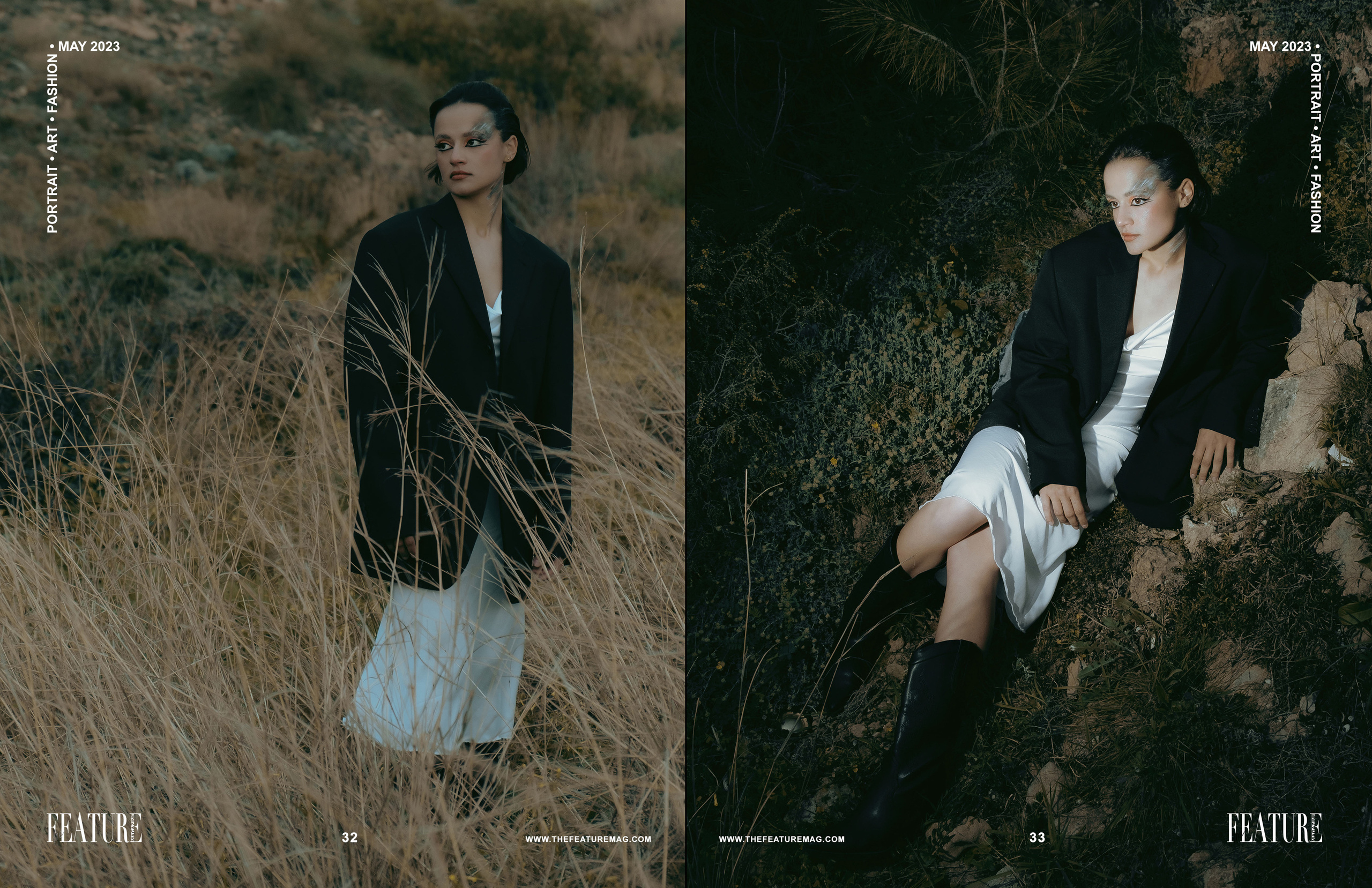 The best publications of the project Dusk in Silence