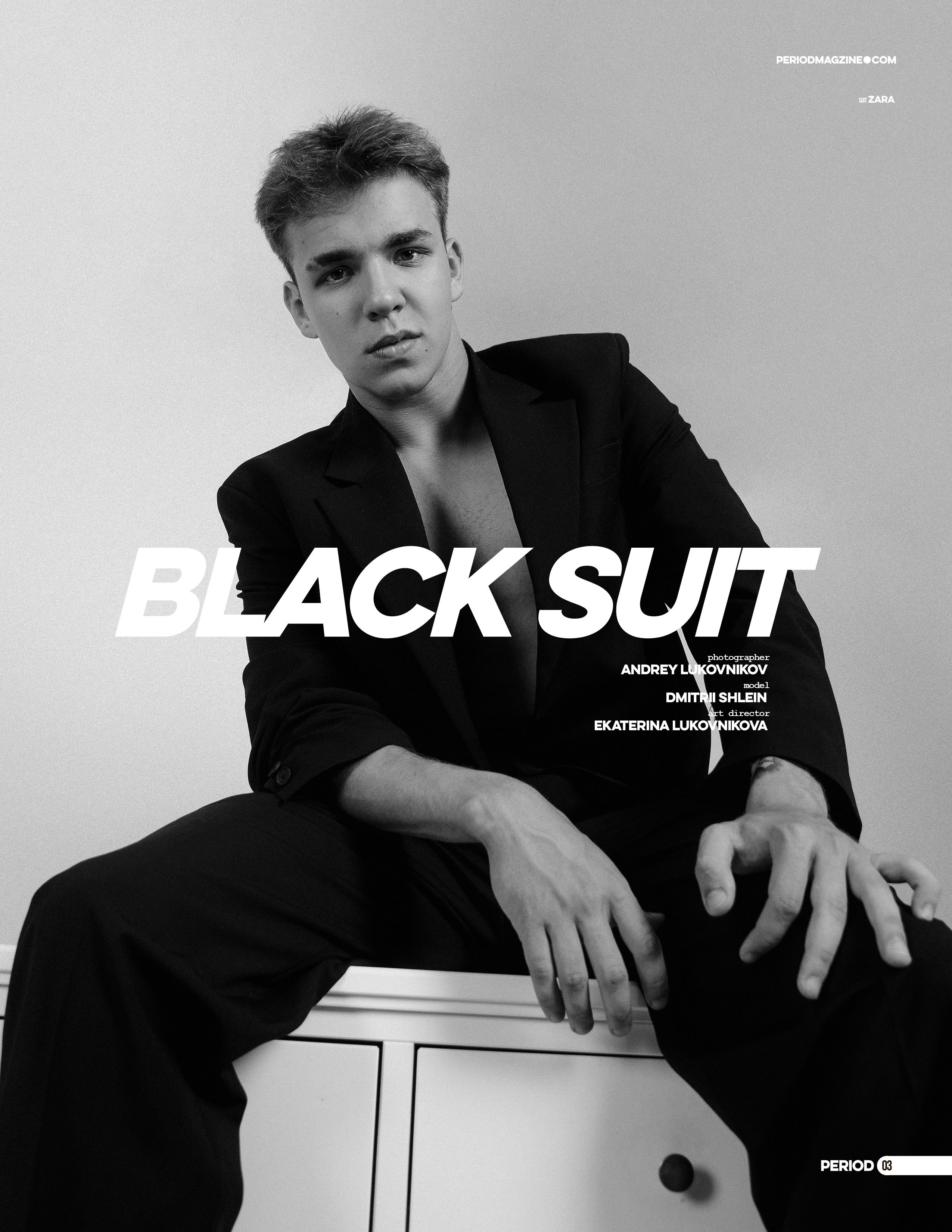 The best publications with Dmitrii Shlein