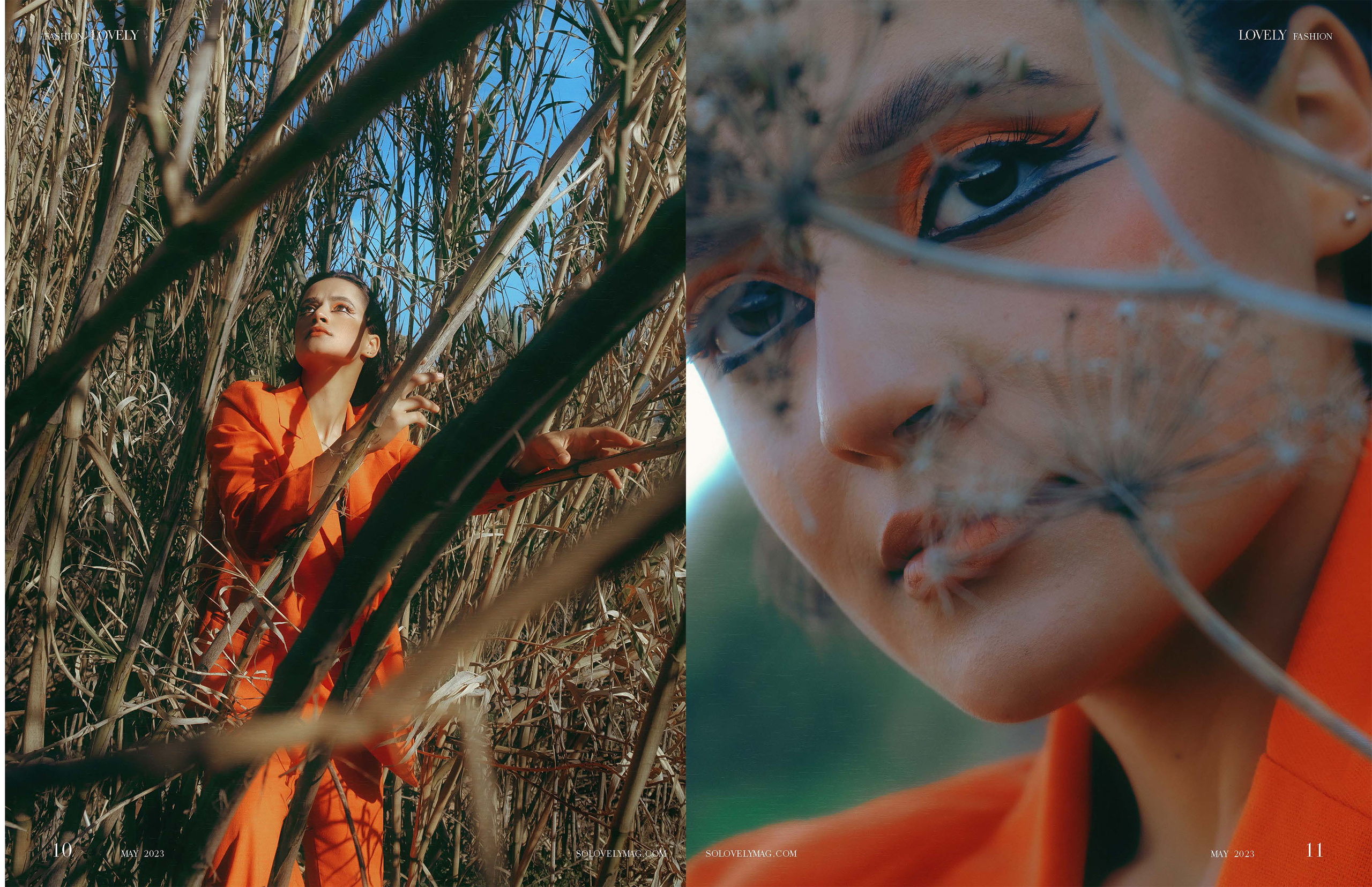 The best publications of the project Orange Orange